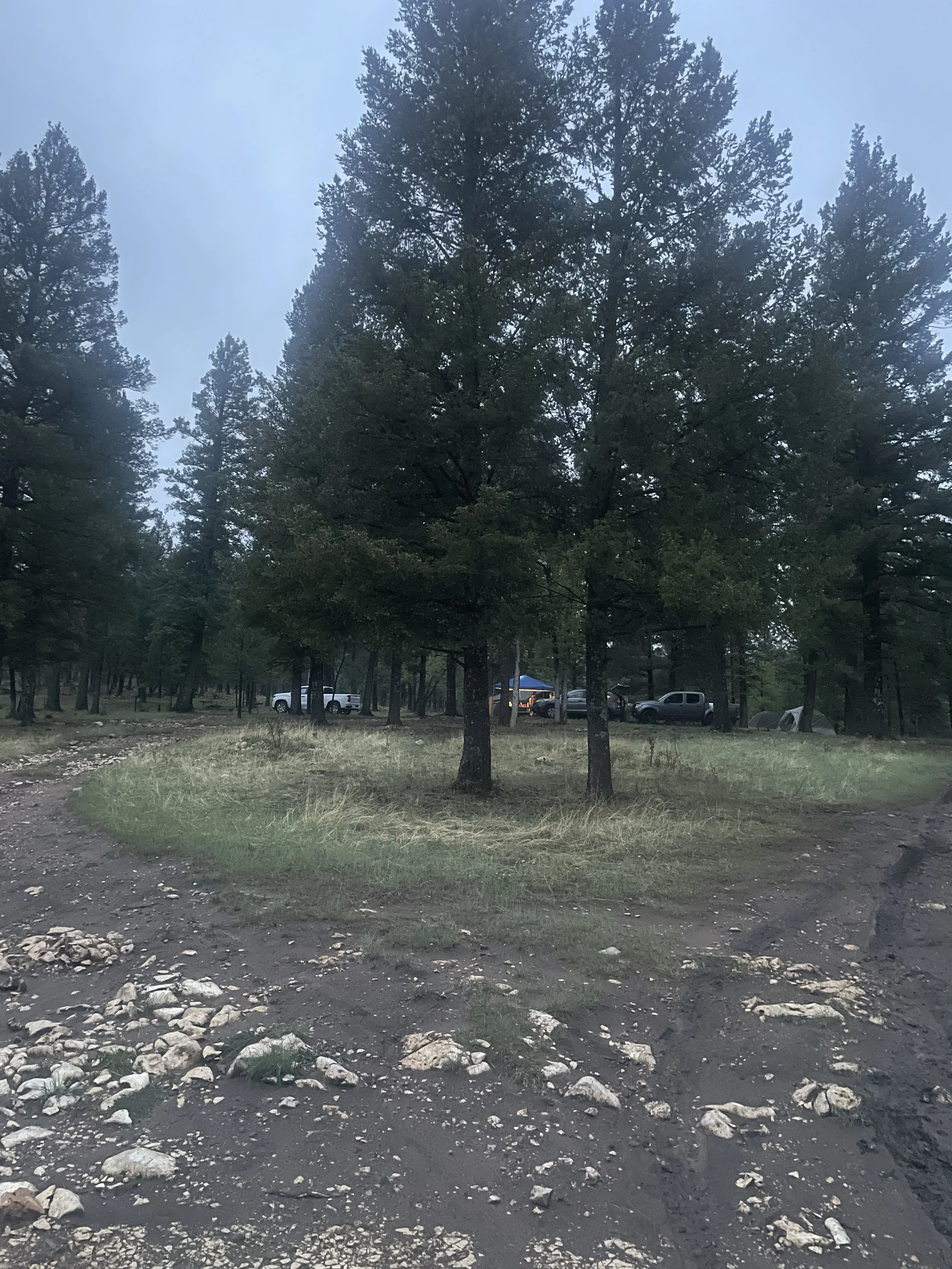 🏕️🌲 The RV Guardians Go Camping 🌲🏕️