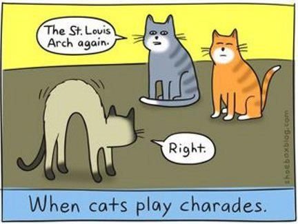 🎭🐱 Charades Night at the RV 🐱🎭