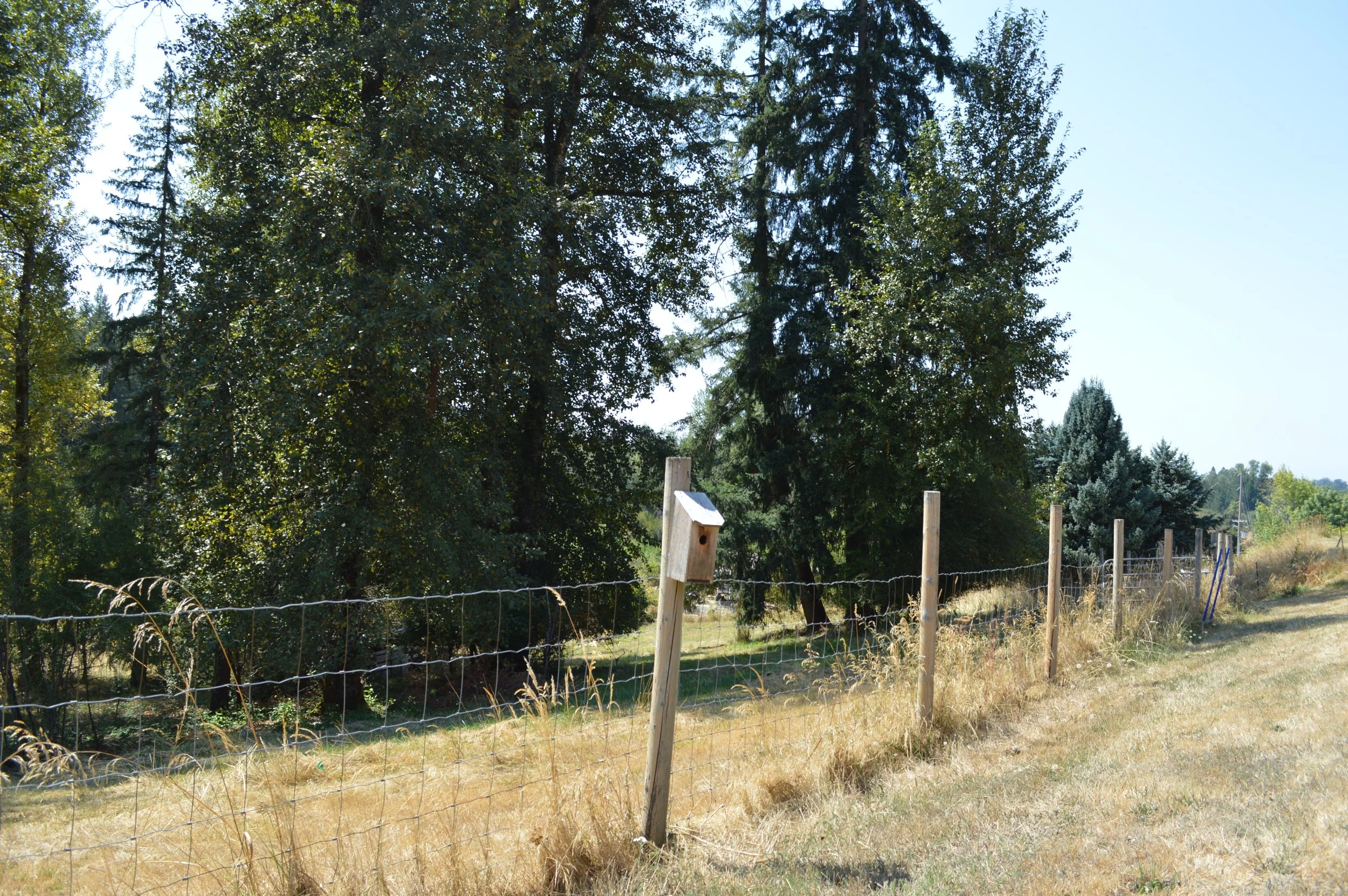 DSC_0037.JPG