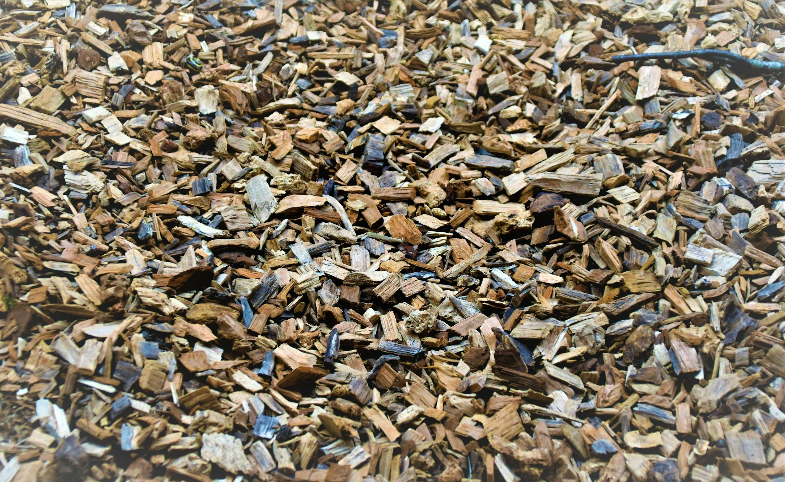 A close-up view of a large pile of small, irregularly shaped wooden chips or mulch.