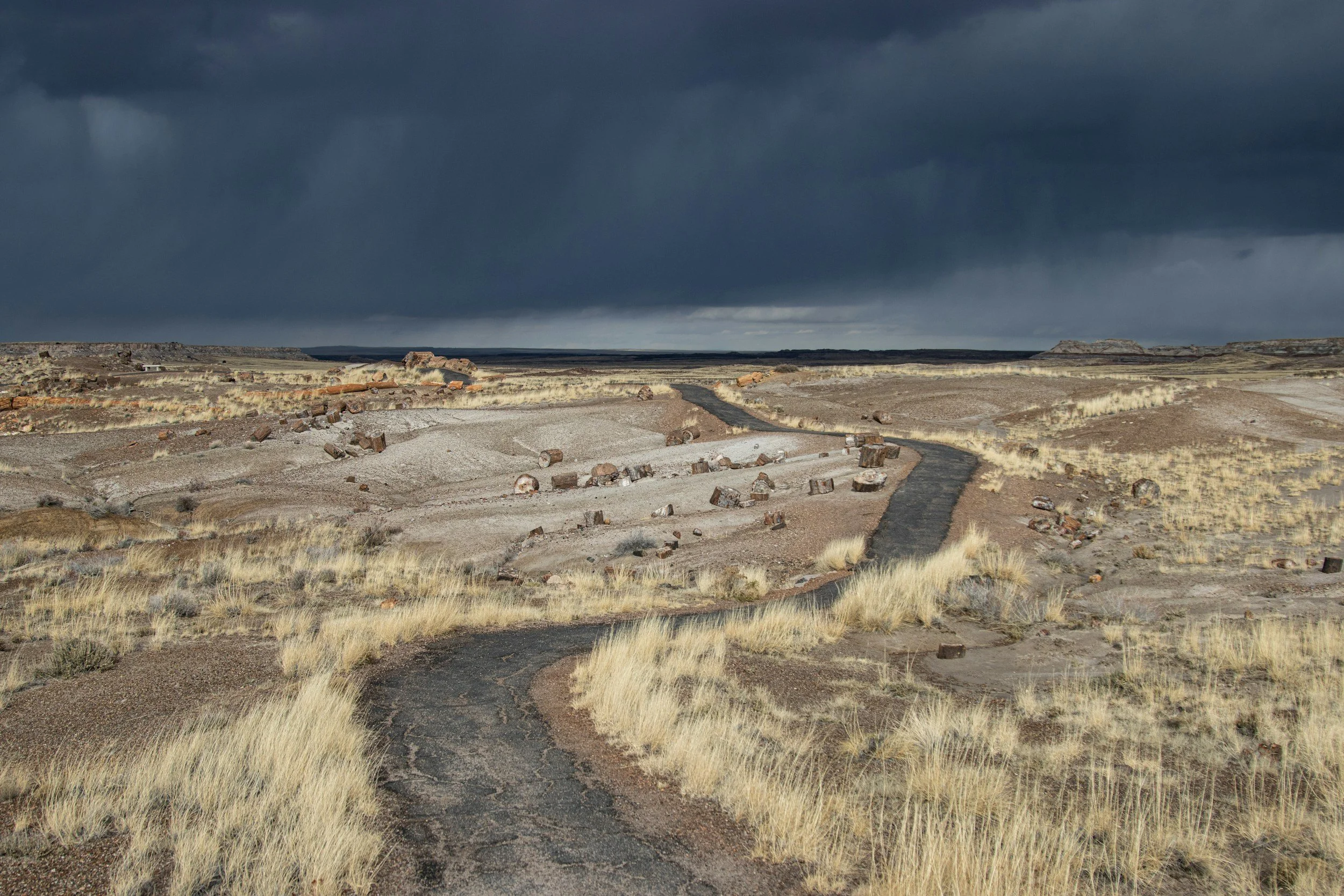 A dirt road winding through a dry, grassy desert landscape under a dark, stormy sky.