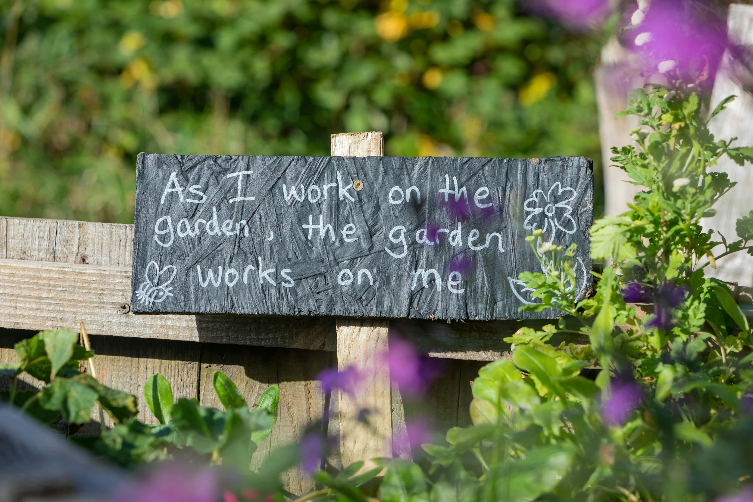 A chalkboard sign with the message "As I work on the garden, the garden works on me" surrounded by green plants and purple flowers.