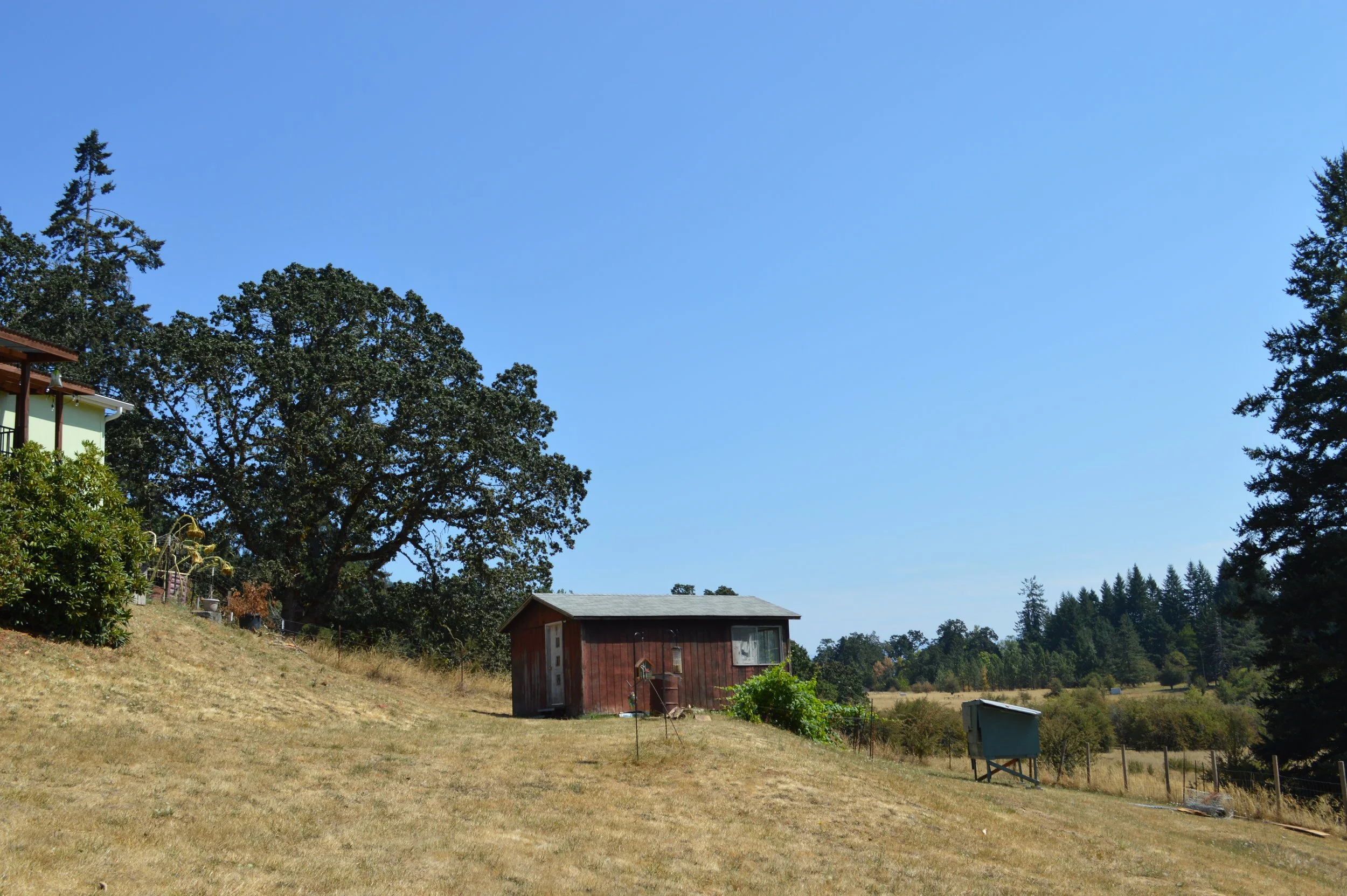 DSC_0049.JPG