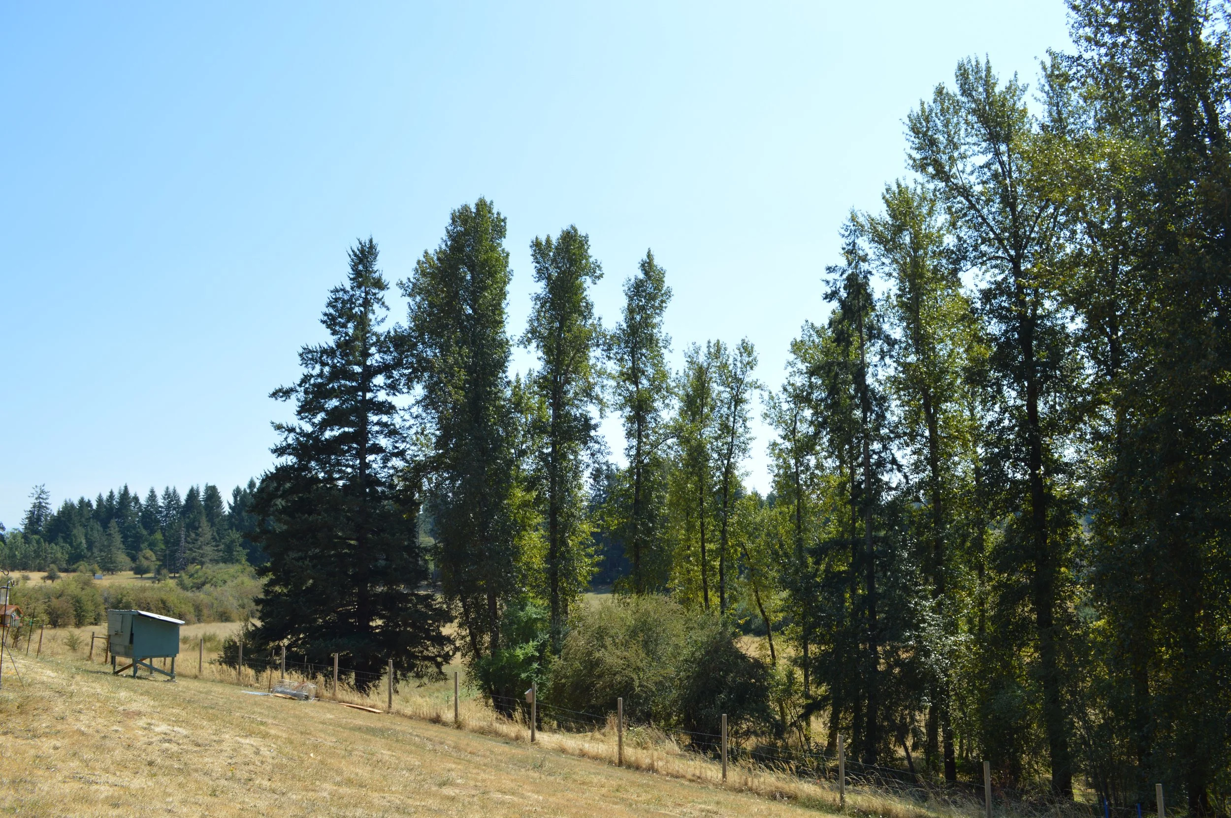 DSC_0030.JPG