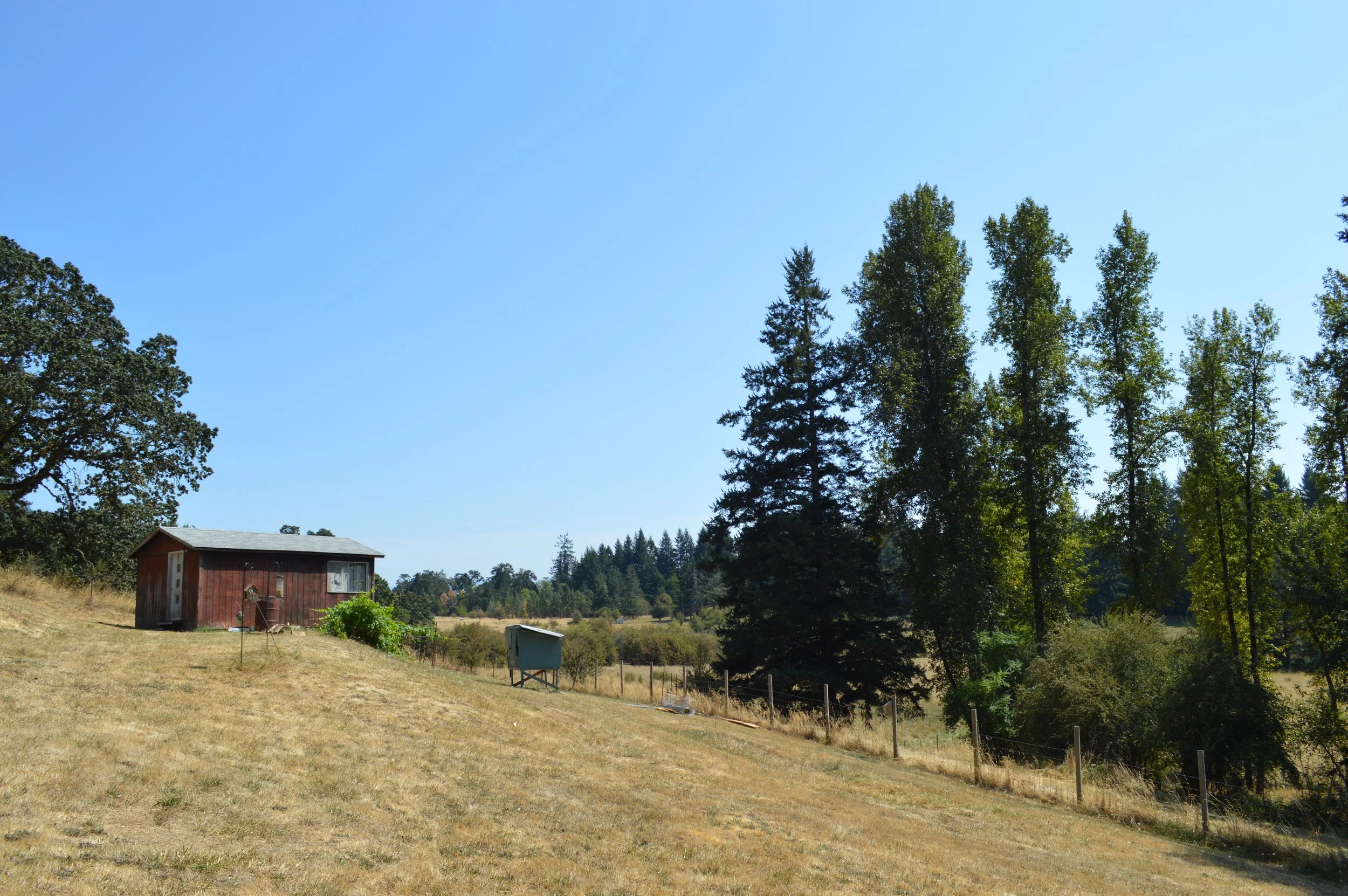 DSC_0050.JPG