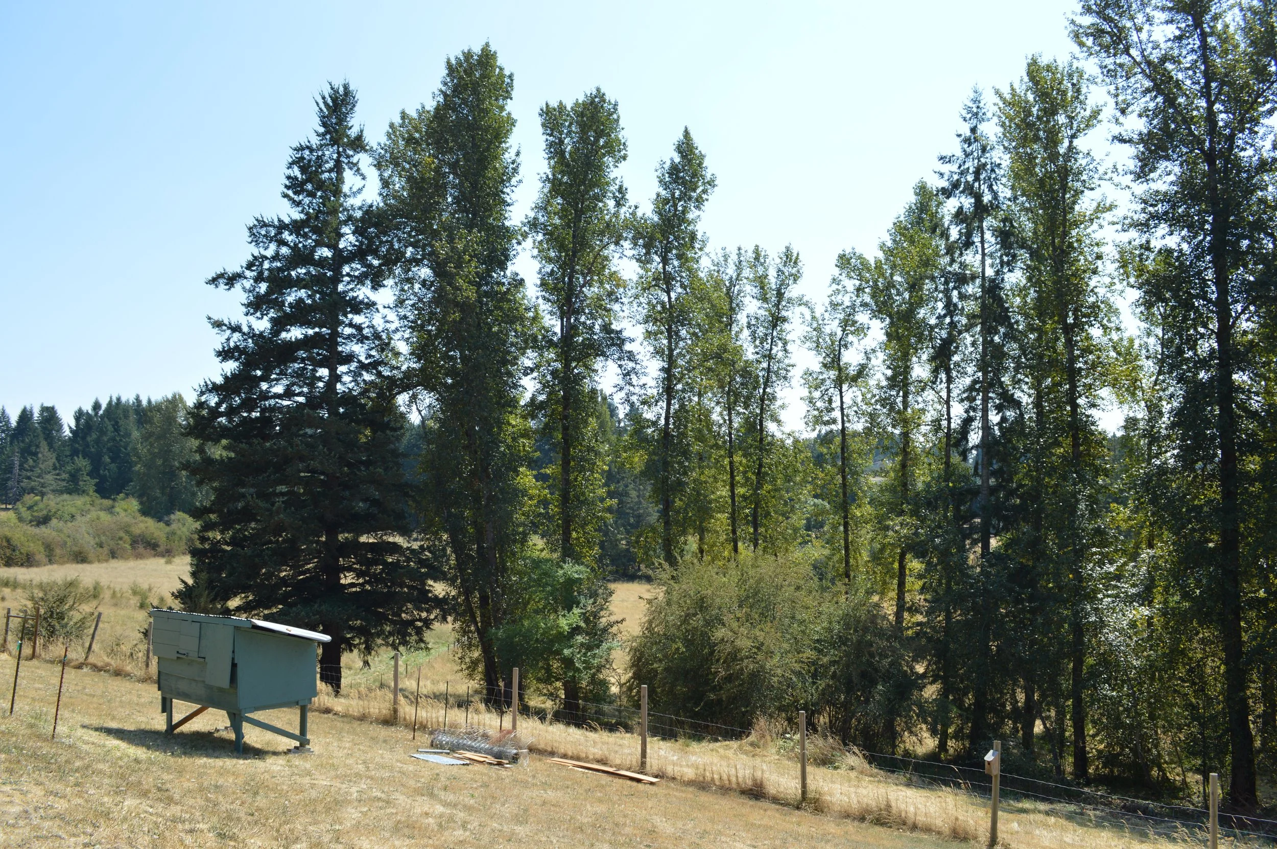 DSC_0029.JPG
