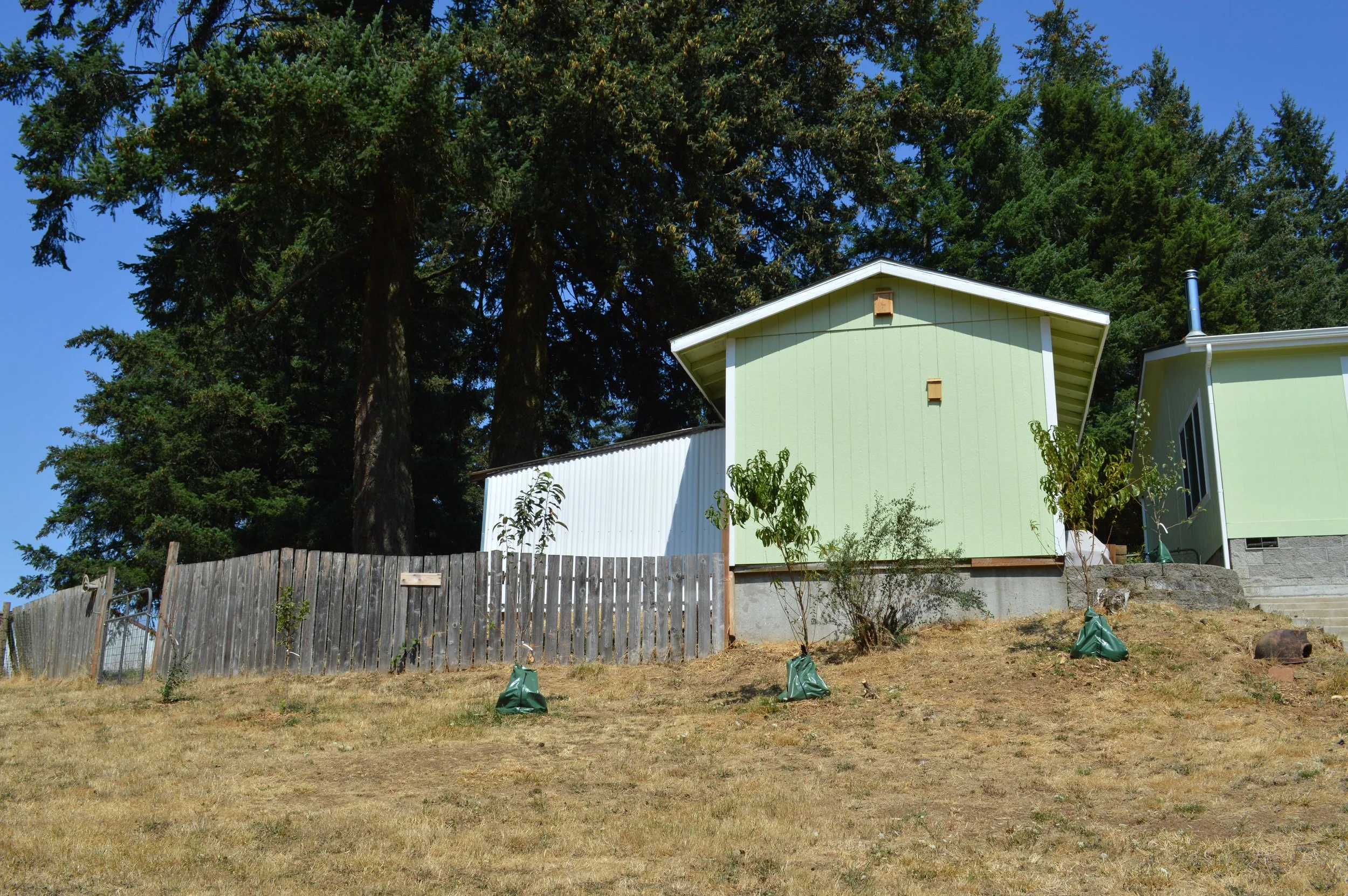 DSC_0047.JPG