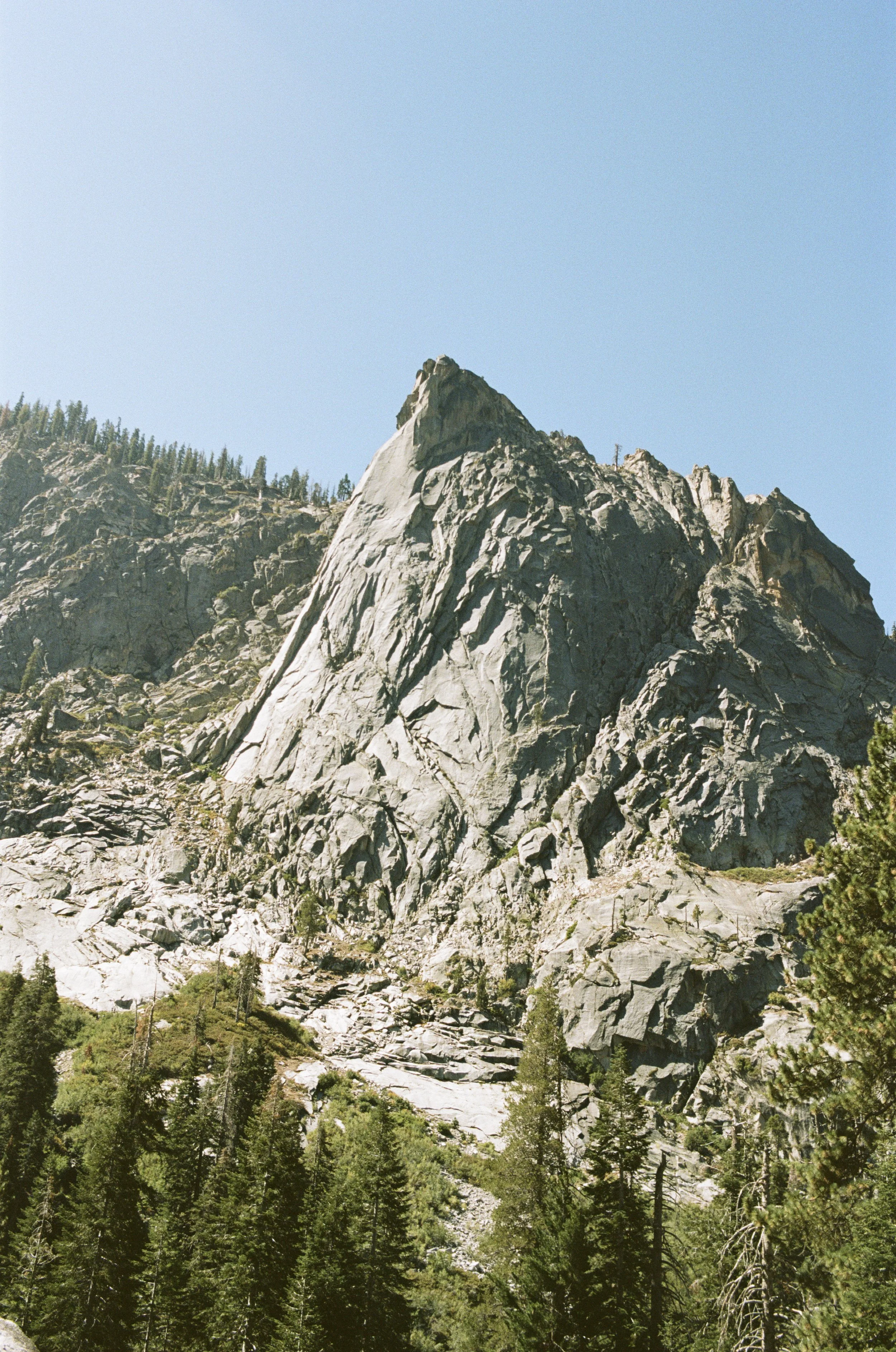 Portra 160 3-26.jpg