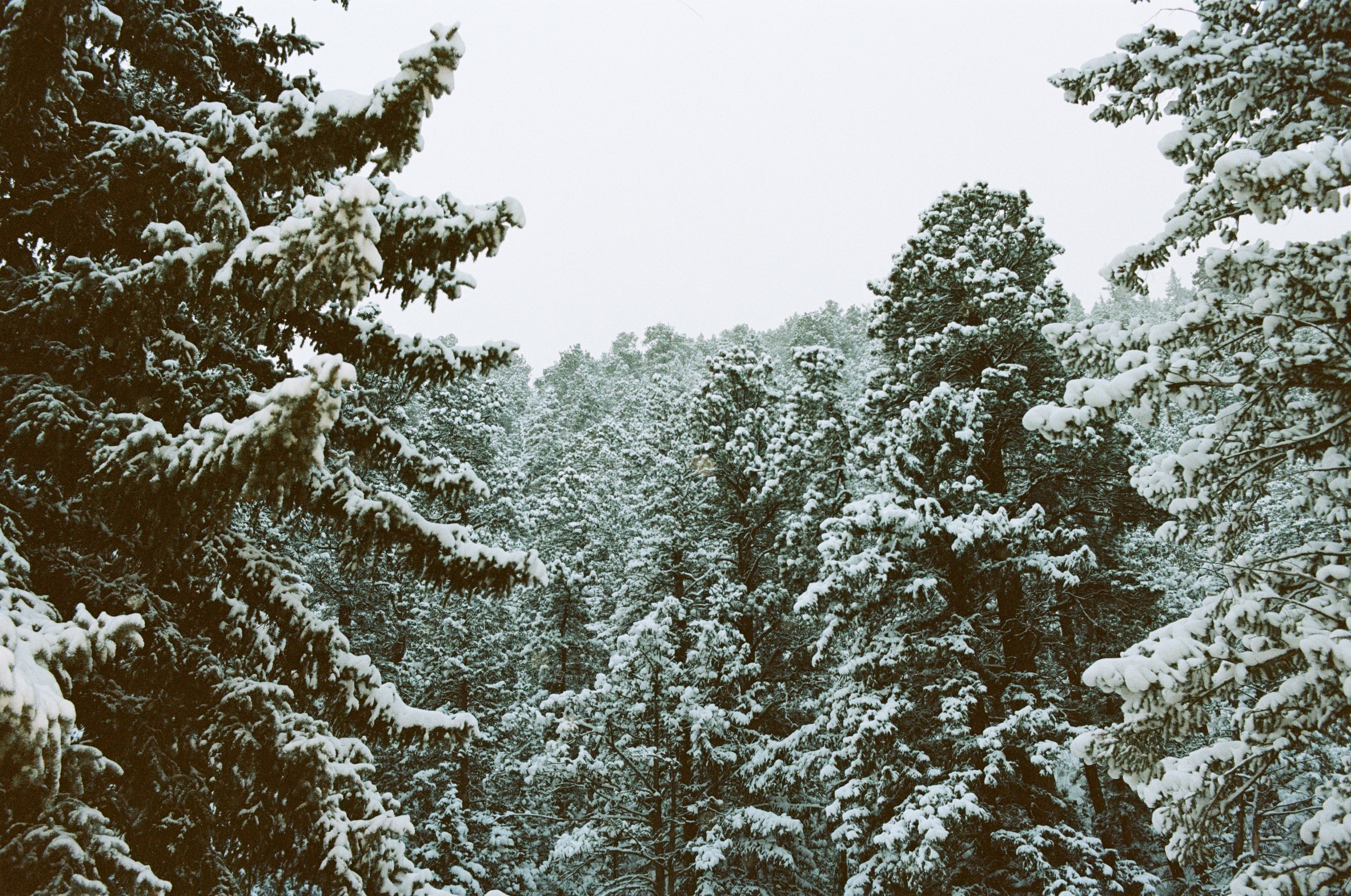 PORTRA 160 1-17.jpg