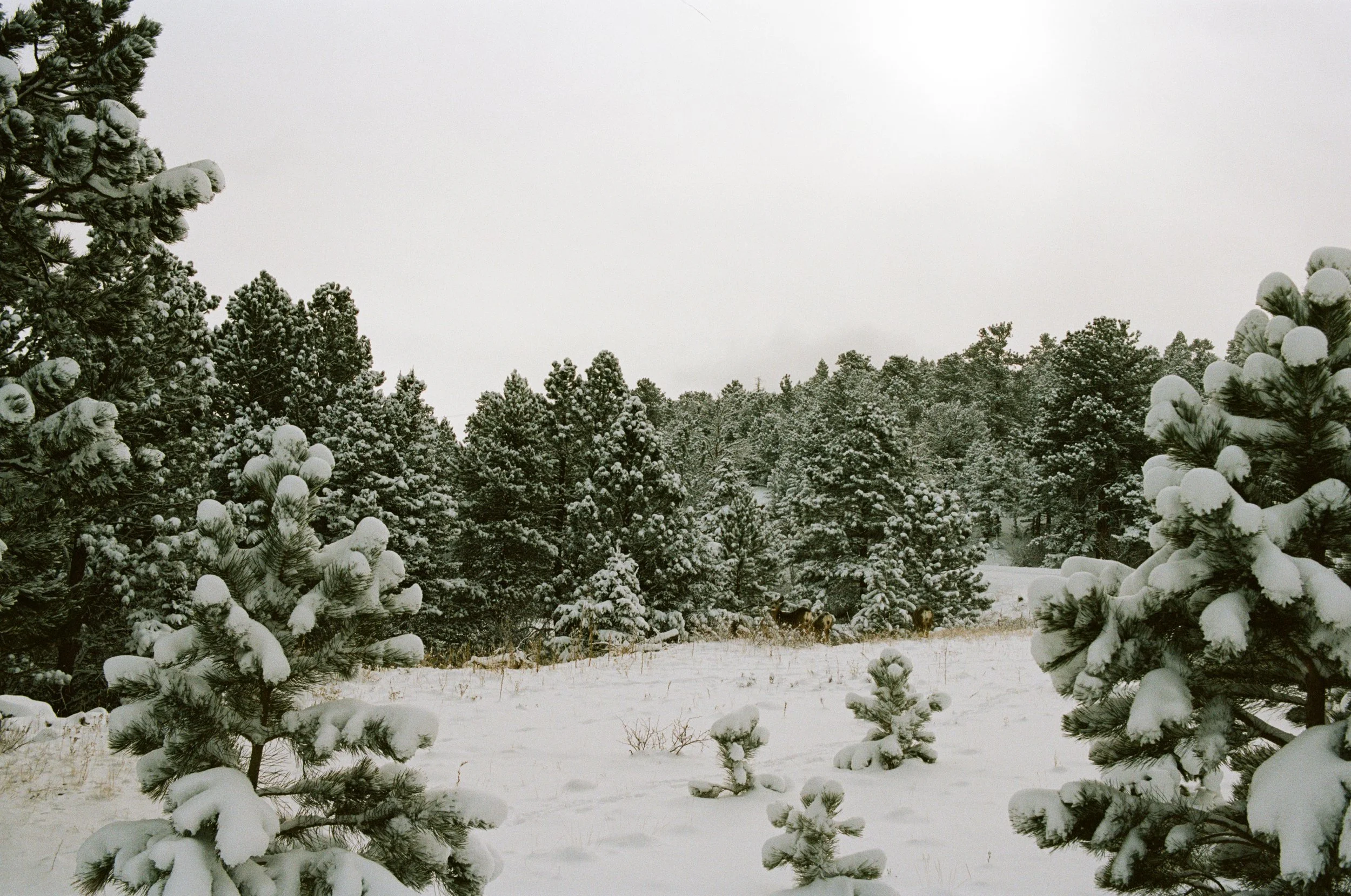 PORTRA 160 1-8.jpg