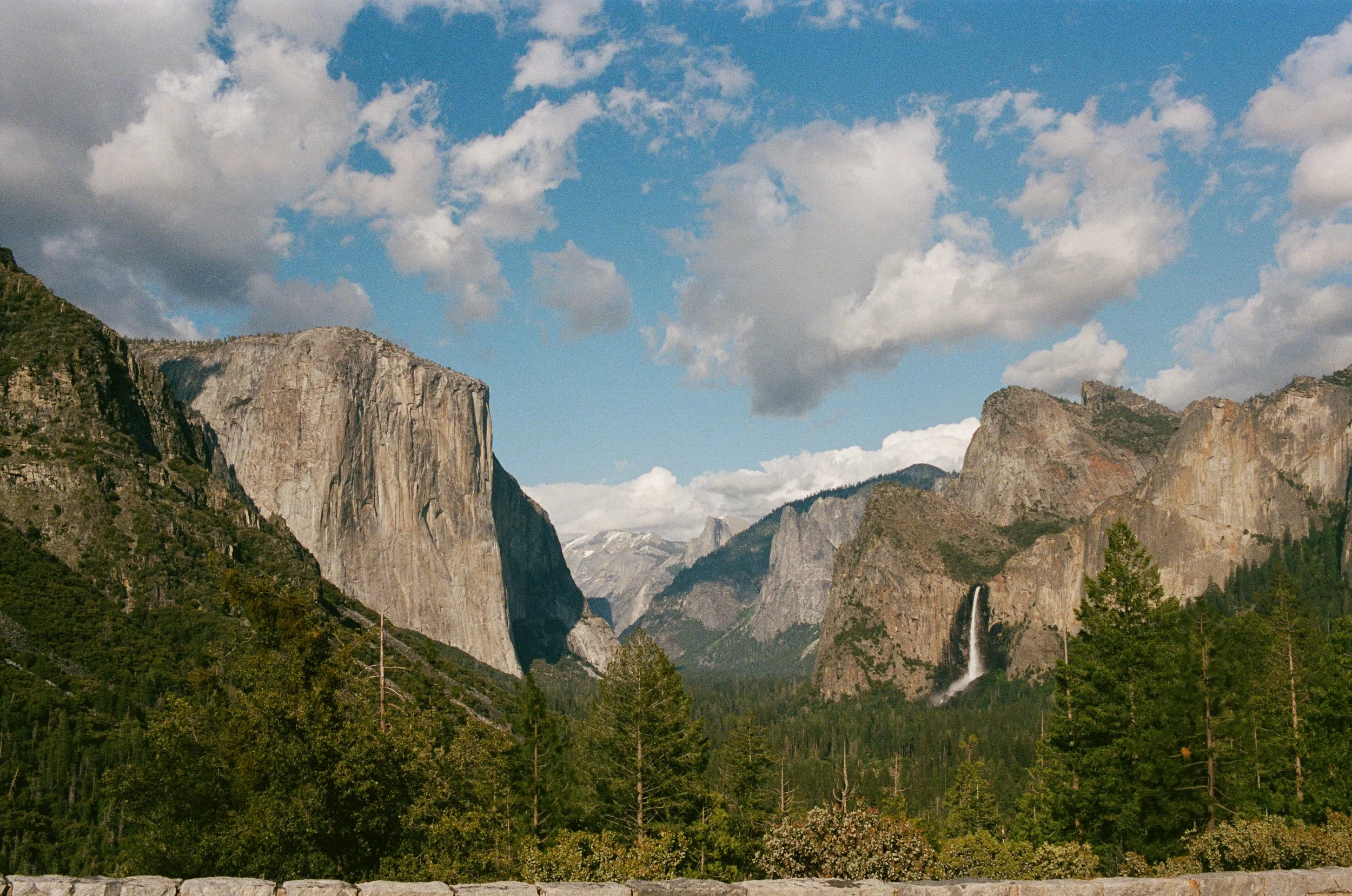 Portra 400 2-35.jpeg