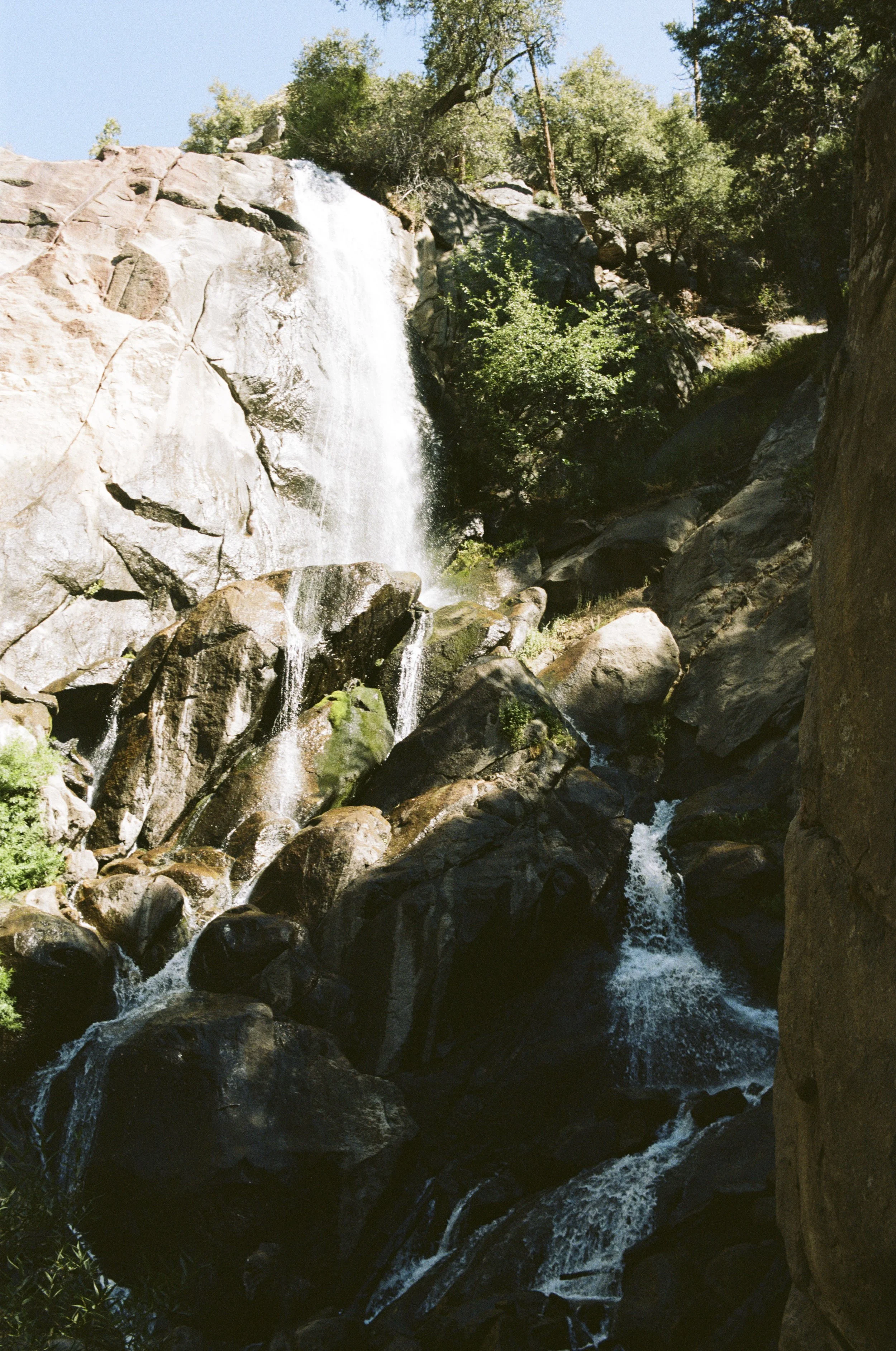 Portra 160 1-10.jpg