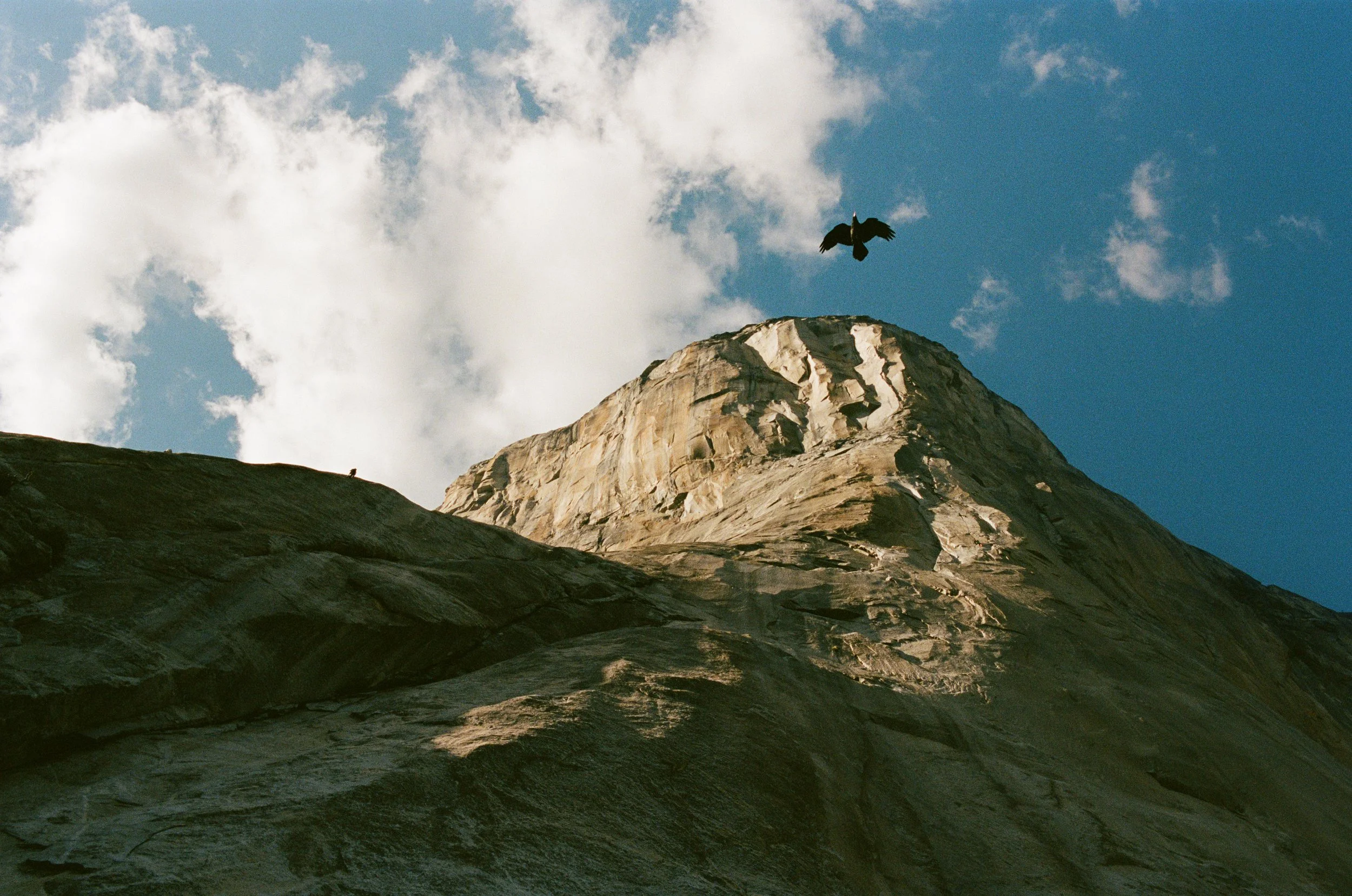Portra 400 2-31.jpeg