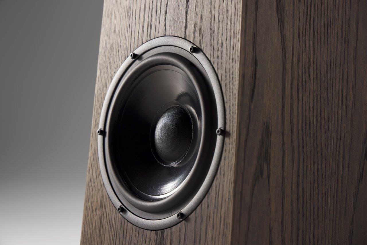 Detail of the woofer on an Ø Audio Frigg 02 loudspeaker