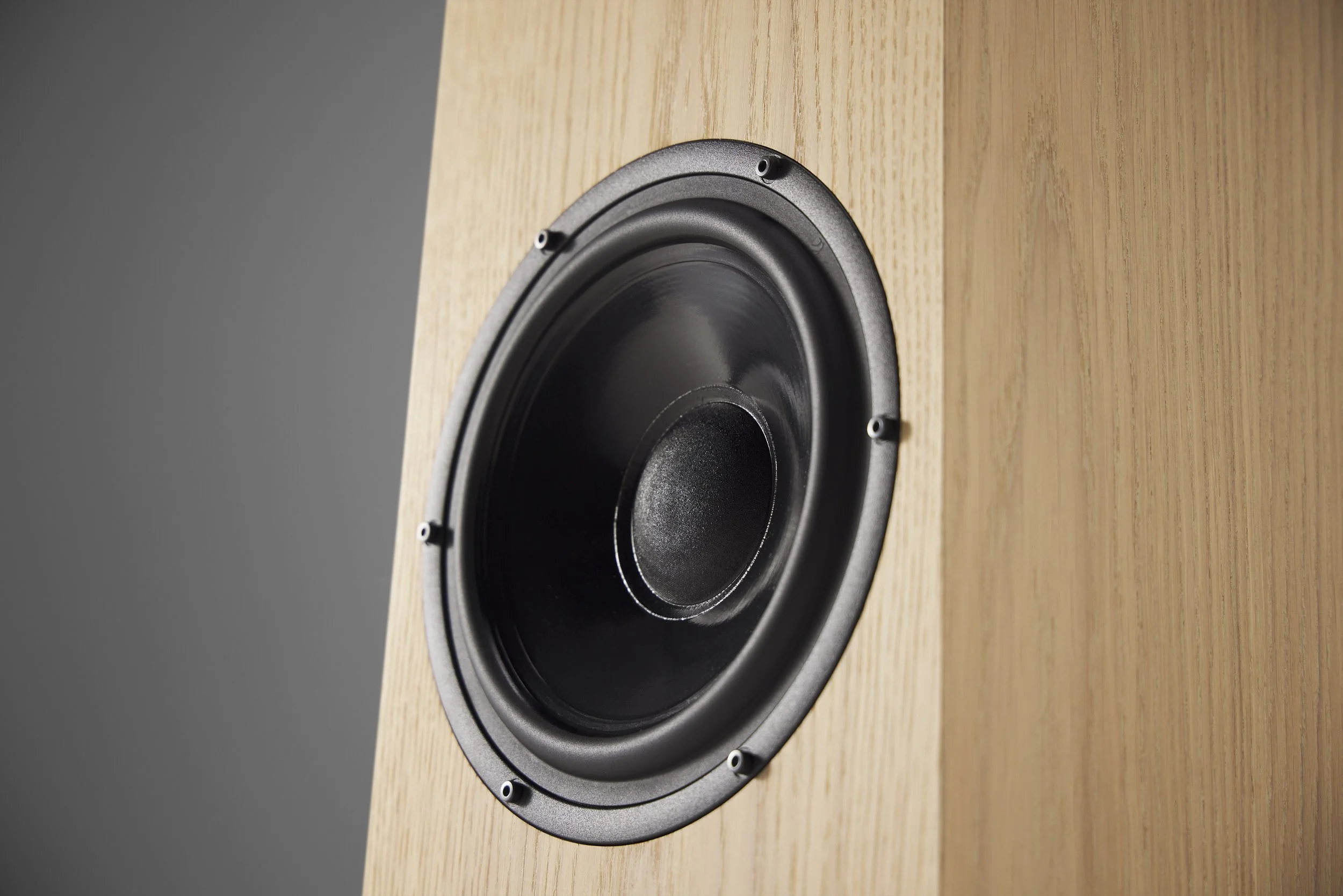 Ø Audio Frigg 02 loudspeaker woofer detail