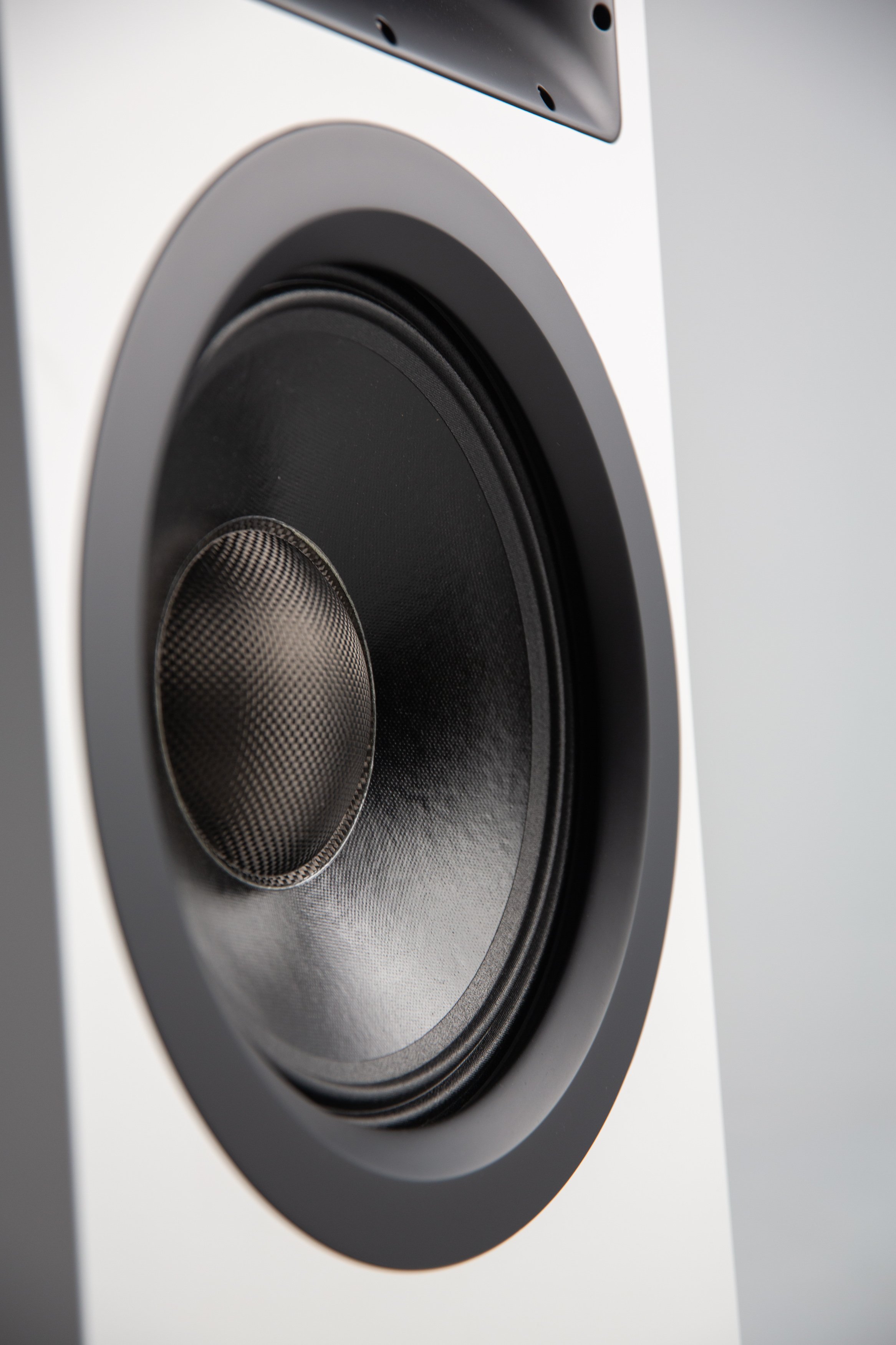 Ø Audio icon 12 loudspeaker woofer detail
