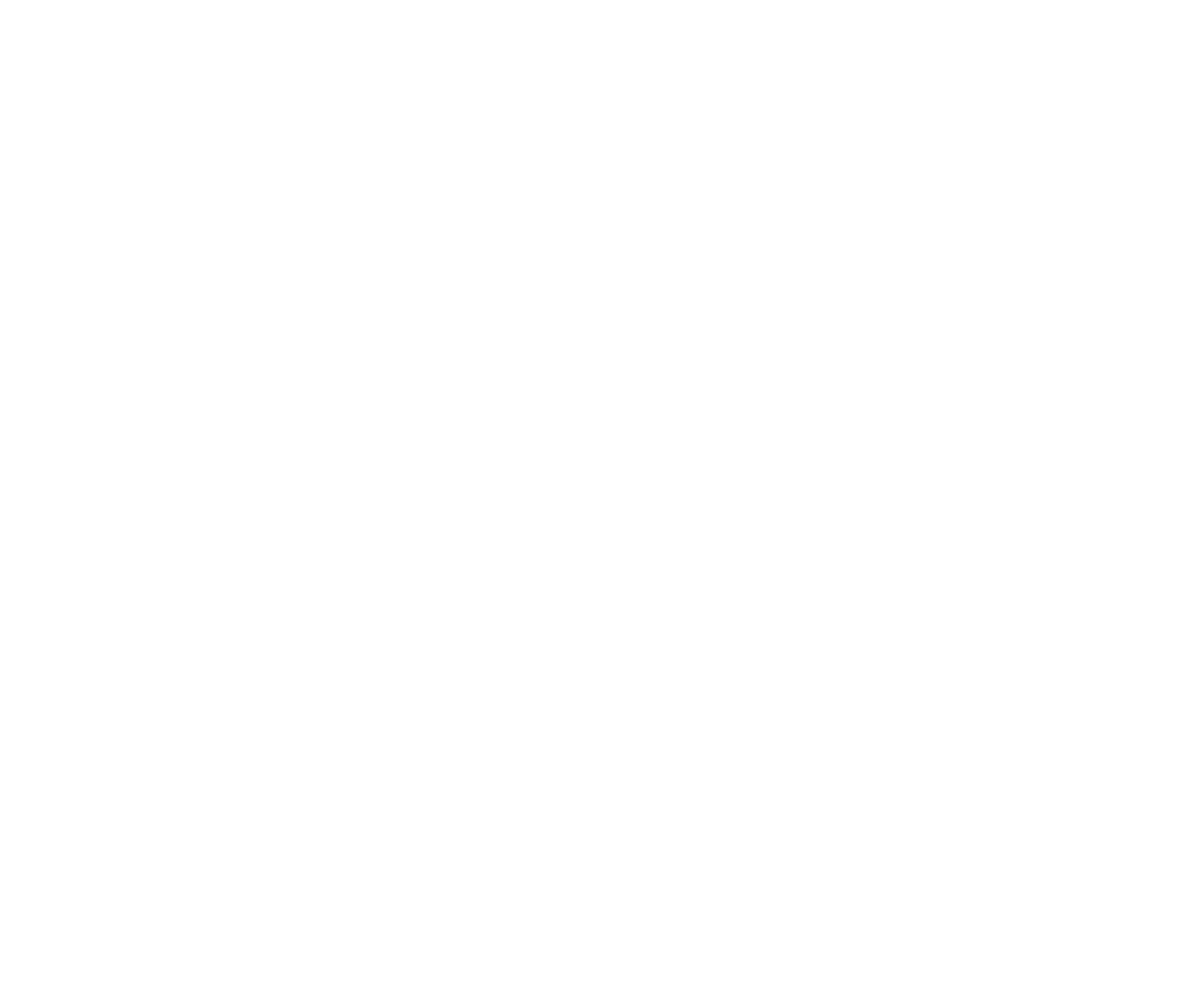Ø Audio Icon