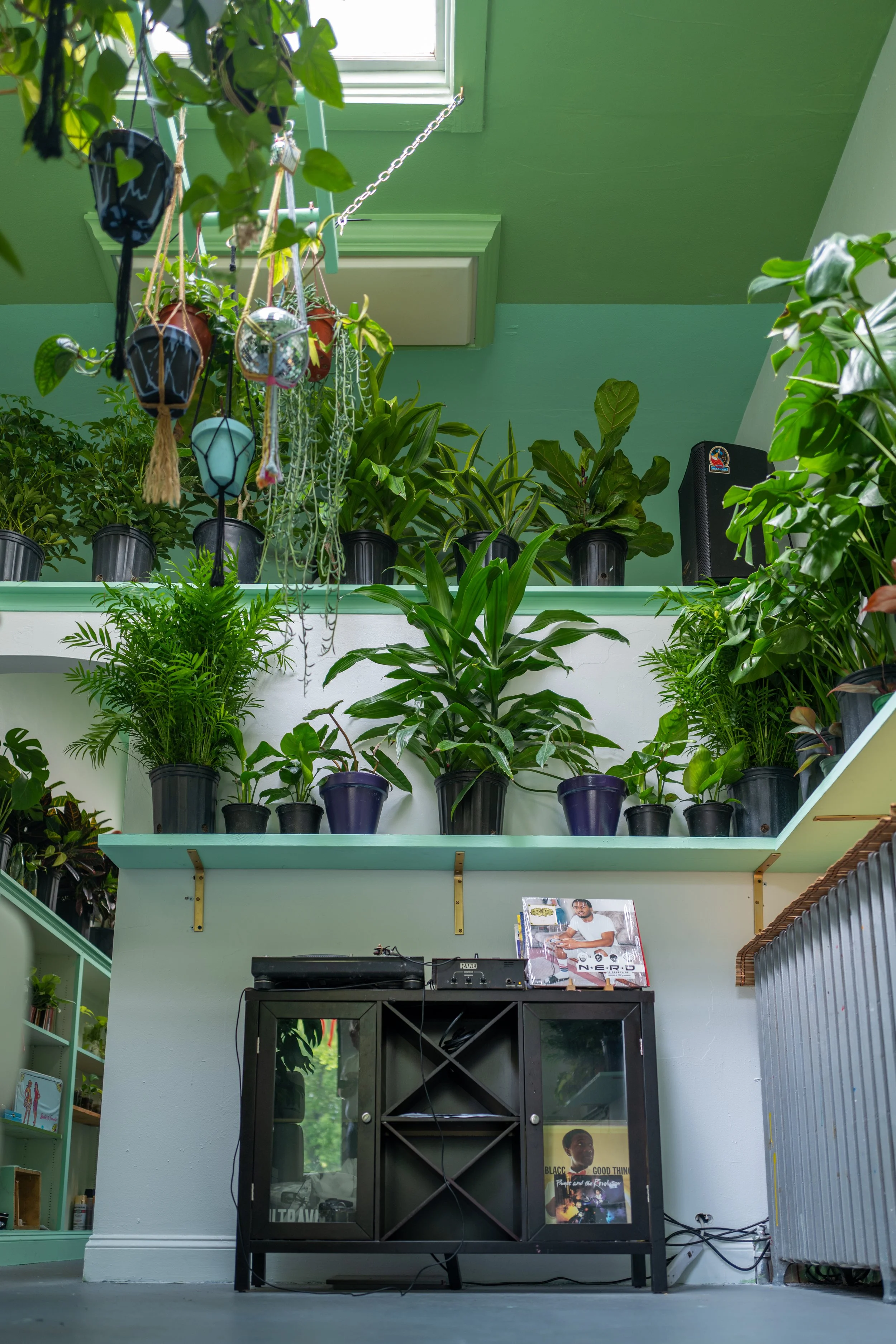 Indoor space with a variety of green potted plants on shelves and a black cabinet with records or magazines, a small poster, and some electronic equipment, against green walls with a skylight ceiling.