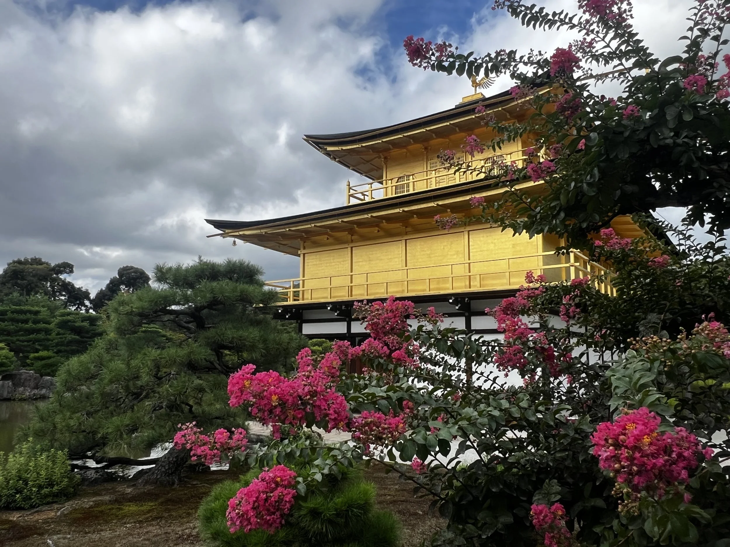 Browse travel resources