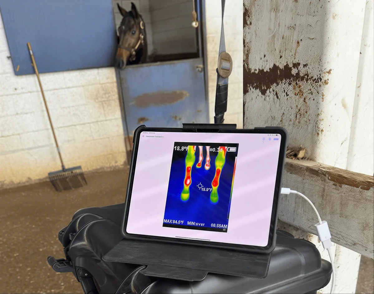 enhanced Thermal Camera 4_LE_upscale_prime_x1.webp