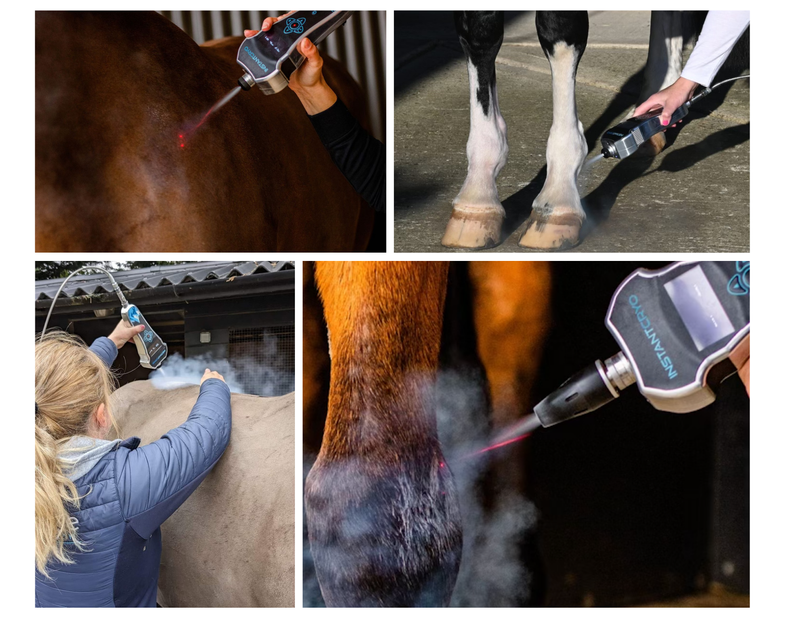 A localized cryotherapy device is used to treat horses