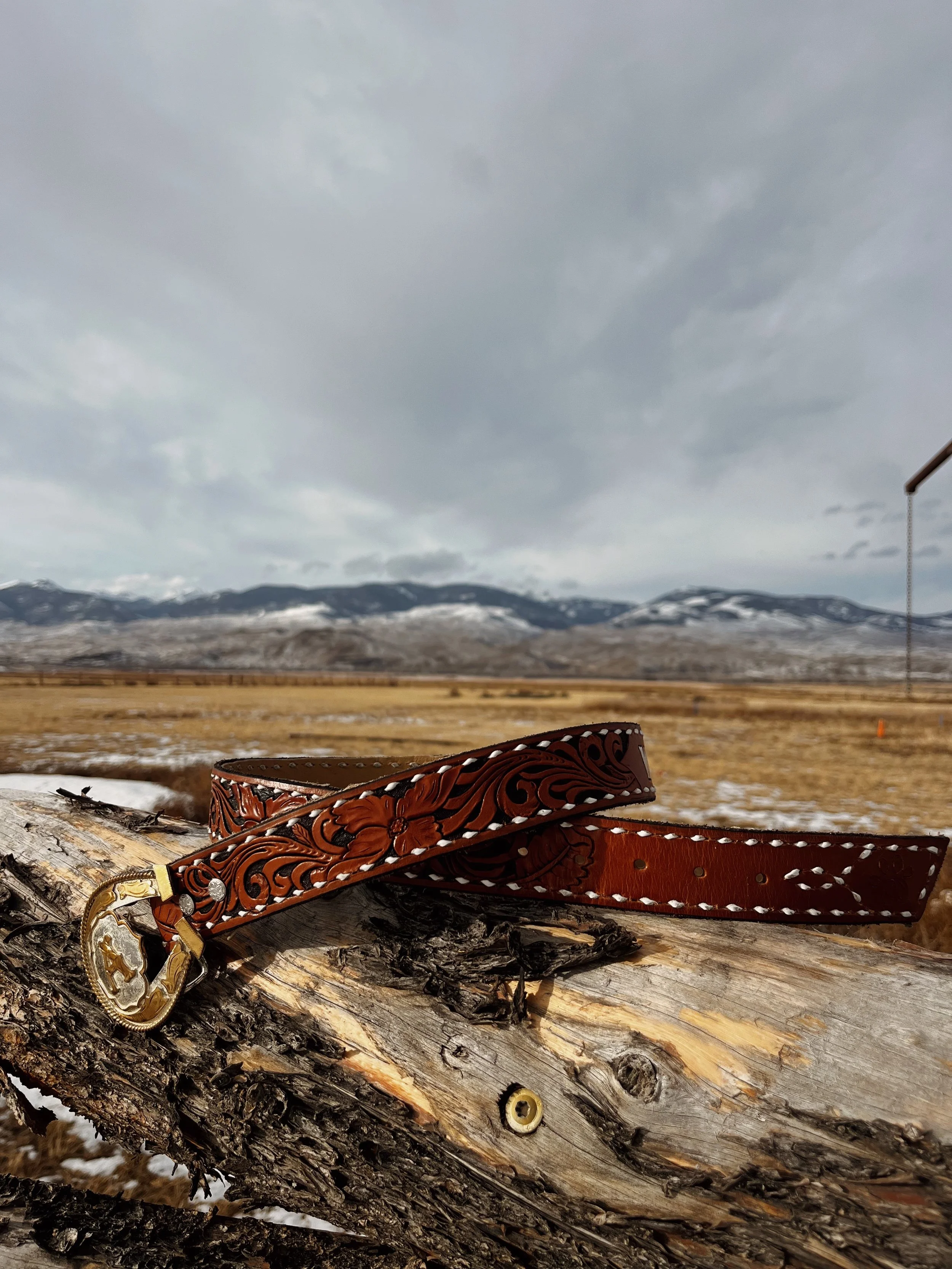 Brown leather cowboy belt with intricate carving and metal buckle resting on a weathered wooden log in an outdoor landscape with mountains and cloudy sky.