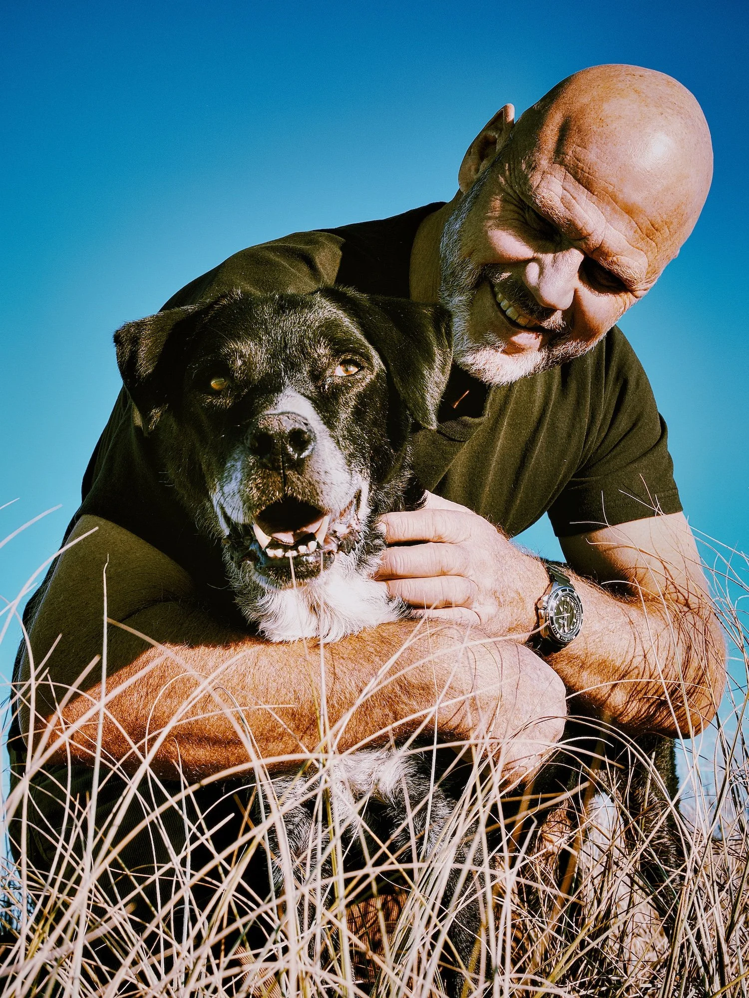 documentary-pet-portrait-mount-maunganui.JPG