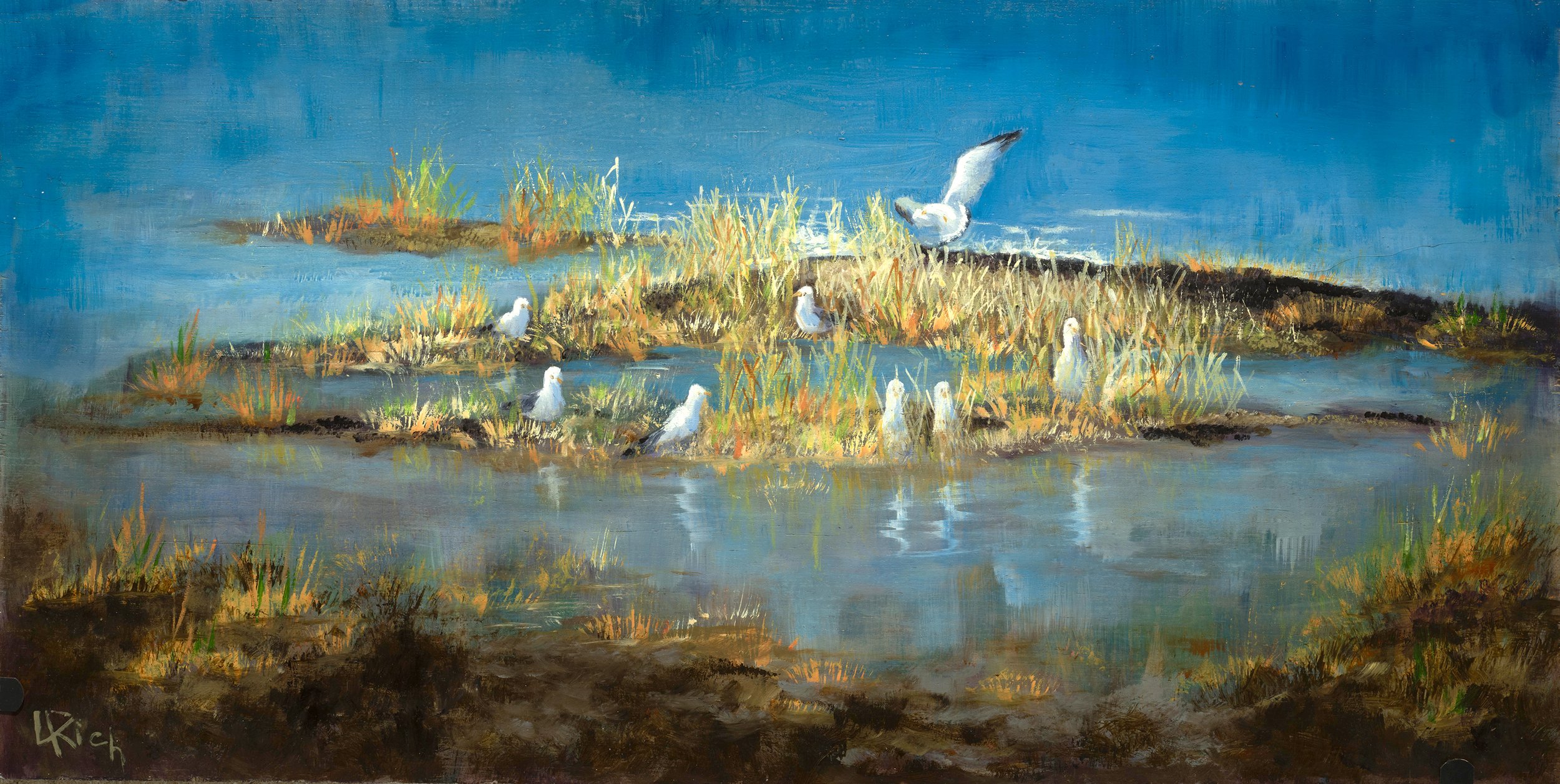 Seagull Island