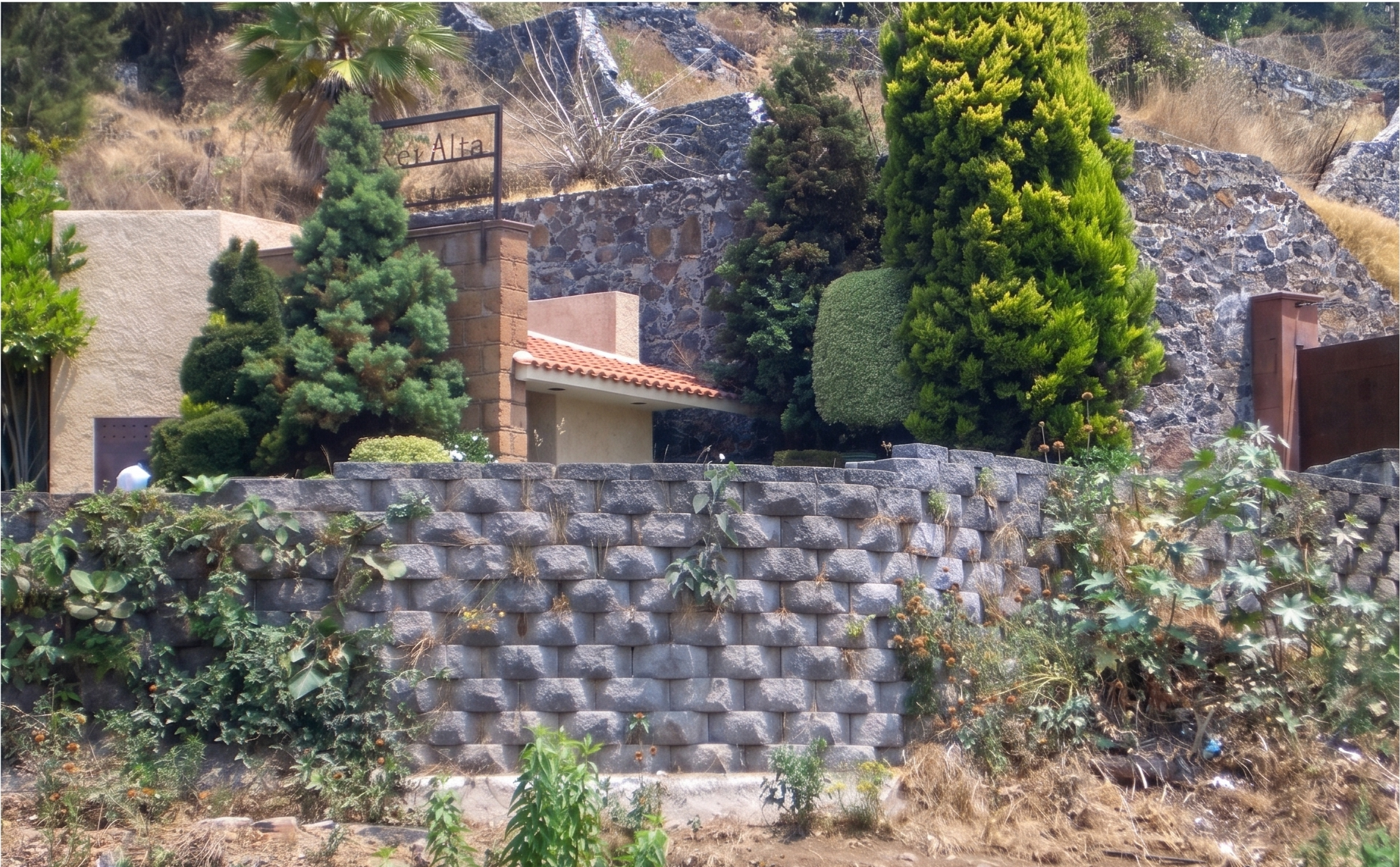 Jardín con diferentes árboles y plantas, muro de bloques de piedra en primer plano y colina rocosa en el fondo.
