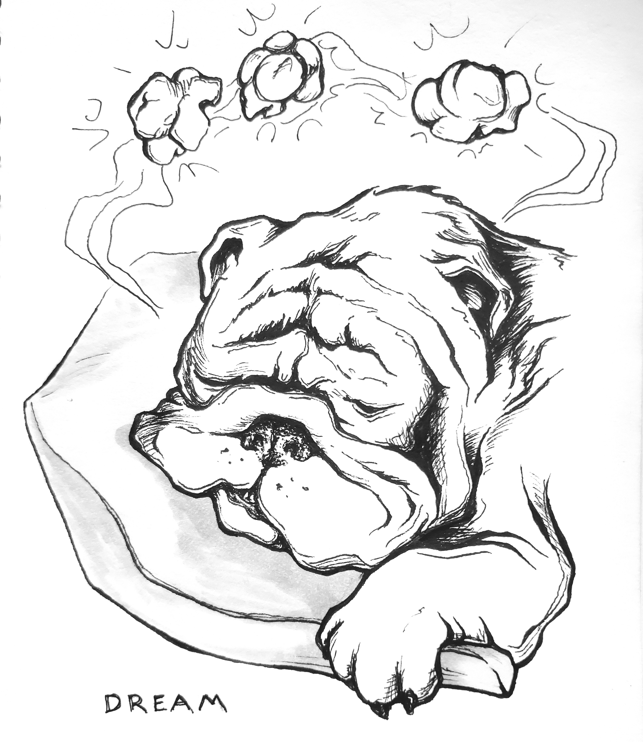 Dream.png