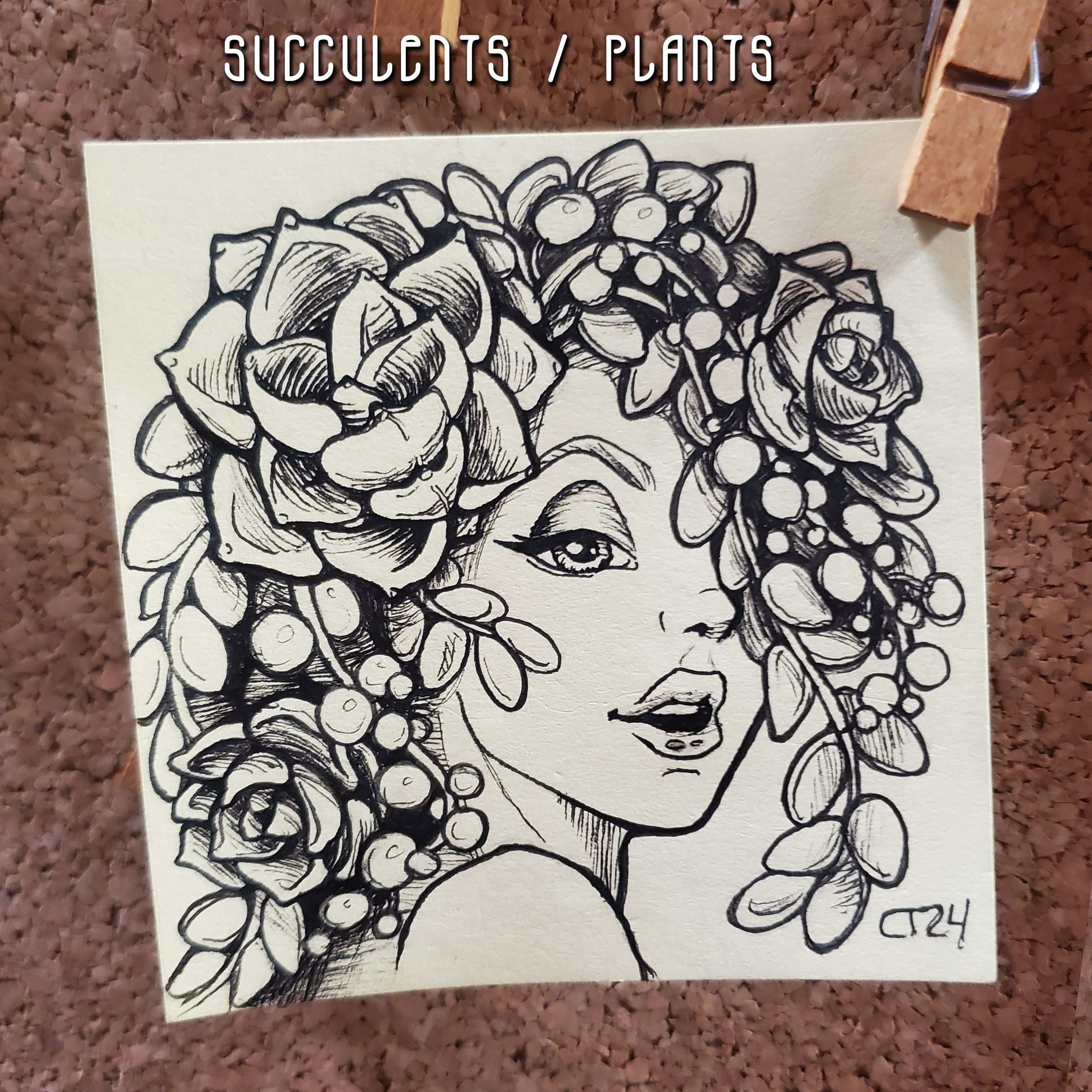 SucculentsPlants.png
