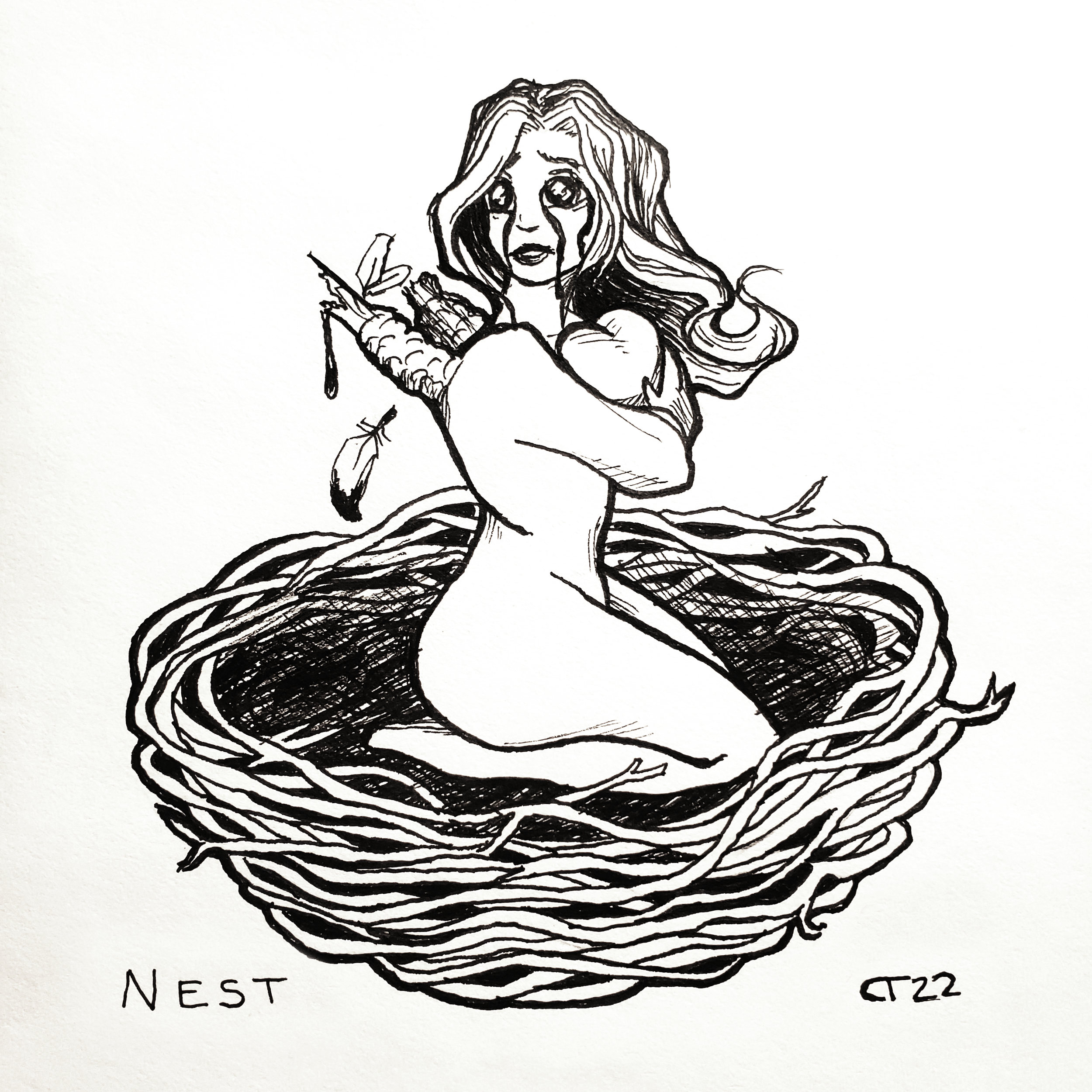 Nest.png