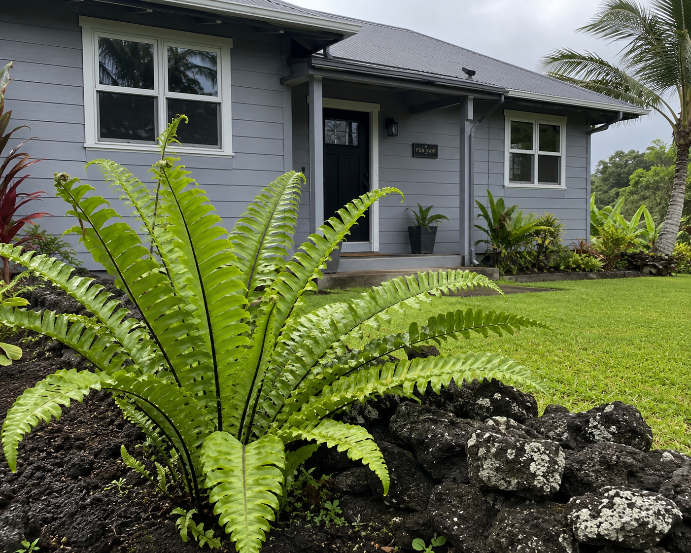 A gray house with white-framed windows, a black door, and a small porch, surrounded by greenery including a large fern in the foreground and tropical plants, with a well-maintained lawn and a cloudy sky in the background.