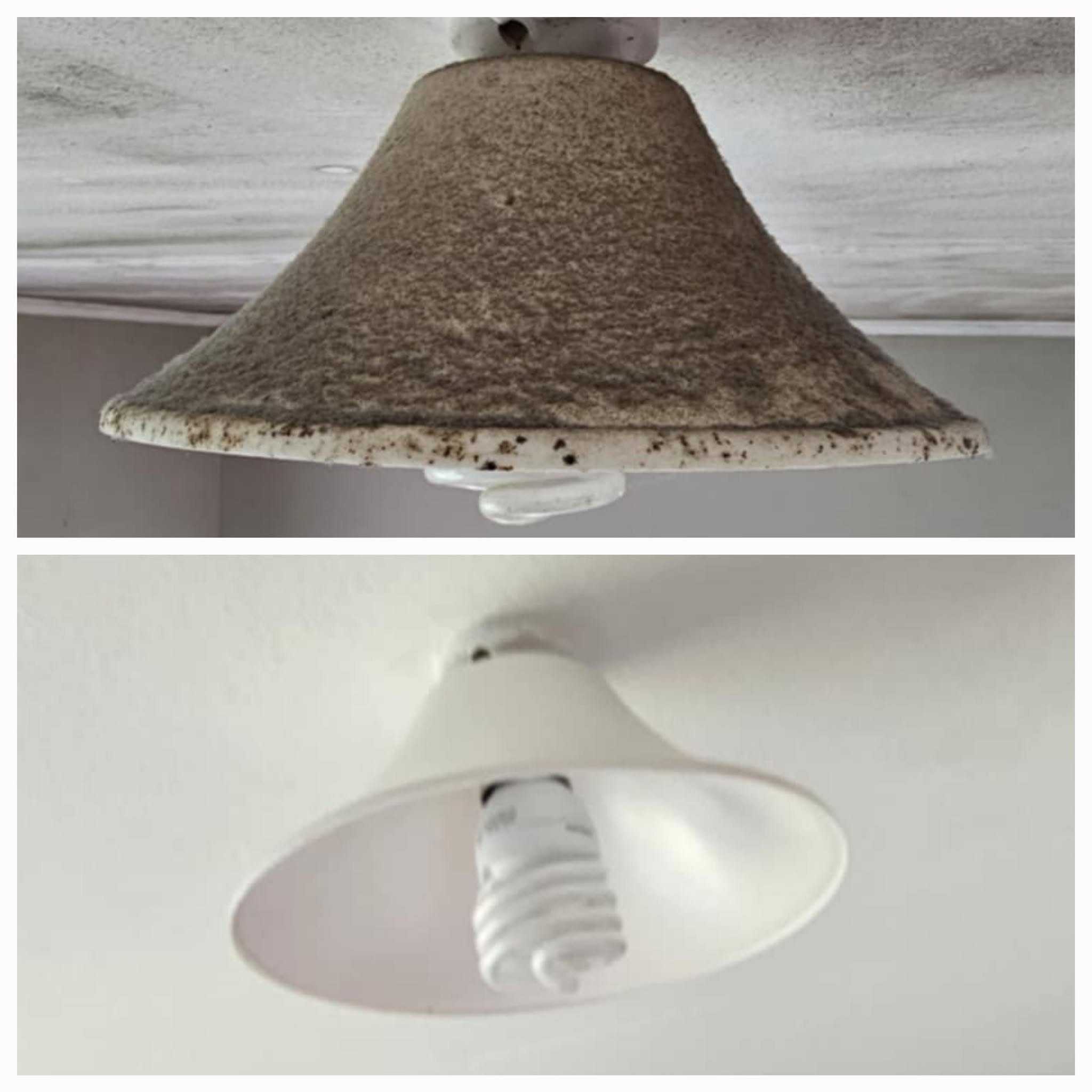 professionally cleaned before and after light shade maid in hawkes bay.jpg