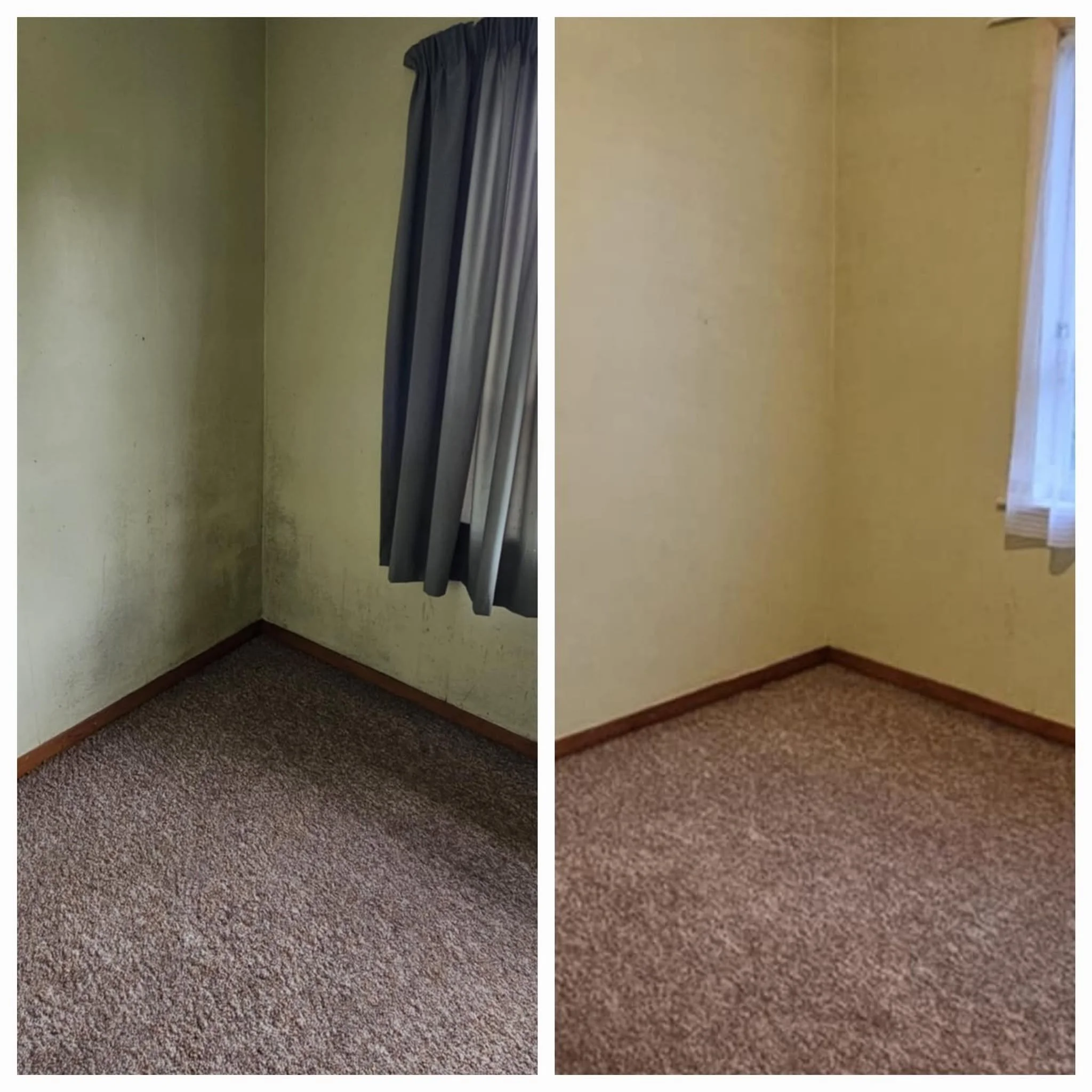 professionally cleaned before and after of a wall in a maid in hawkes bay.jpg