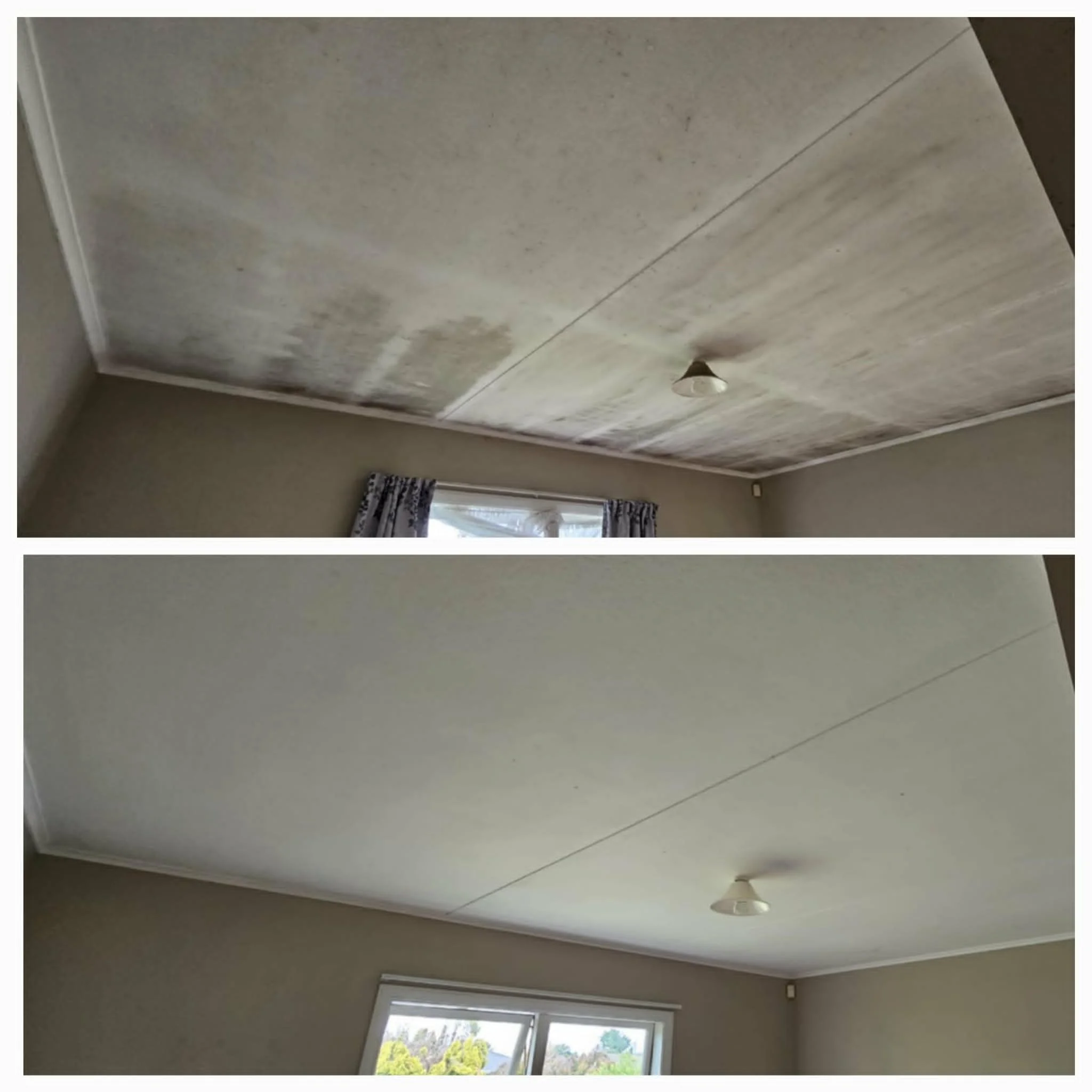 professionally cleaned before and after mold removal maid in hawkes bay.jpg