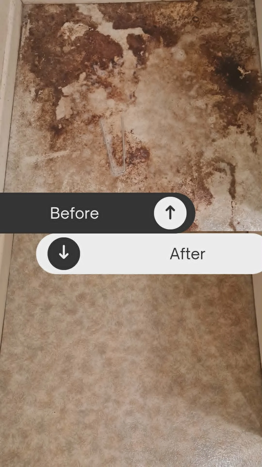 professionally cleaned before and after floor maid in hawkes bay.jpg