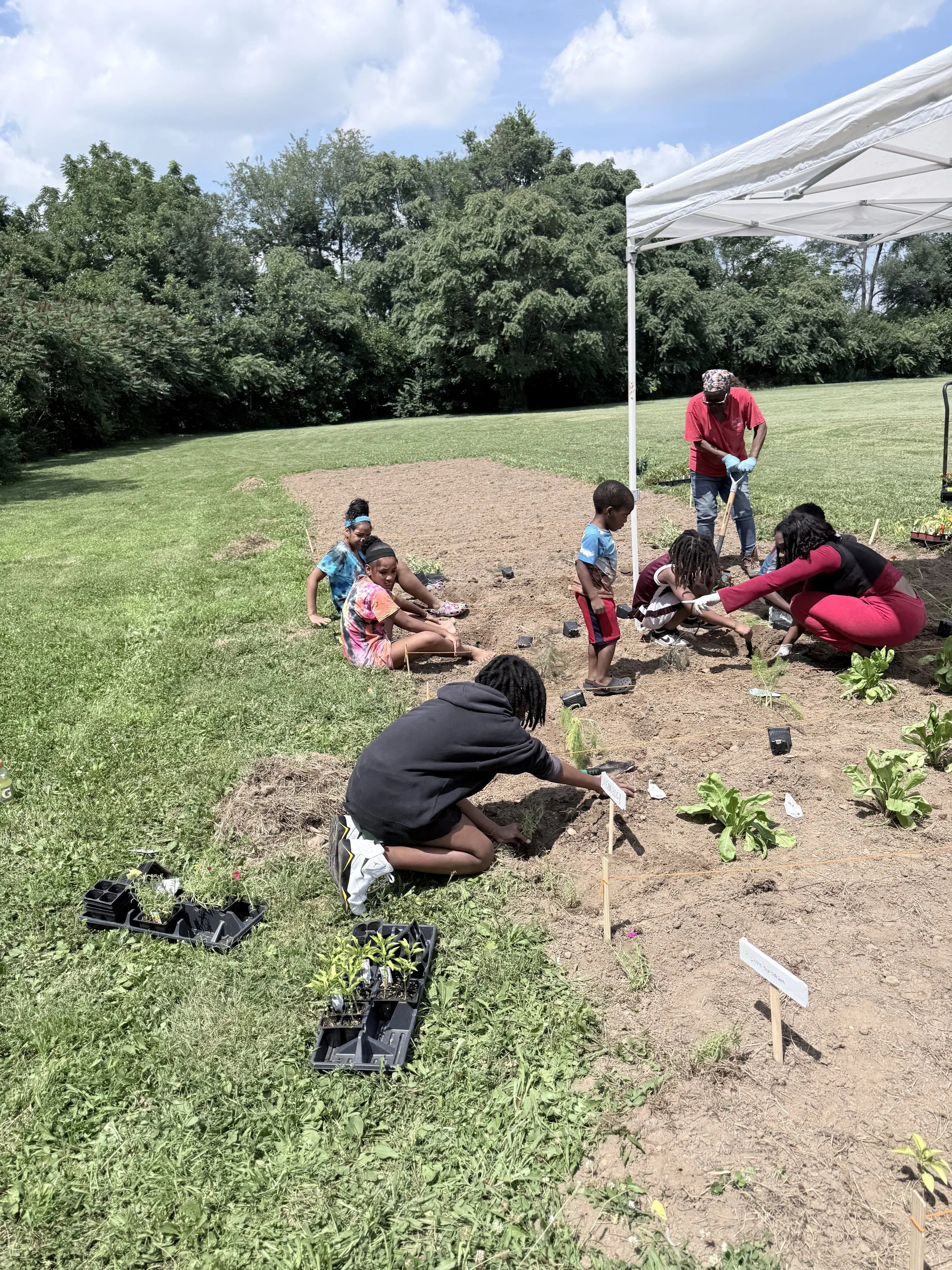 nb.jpeg