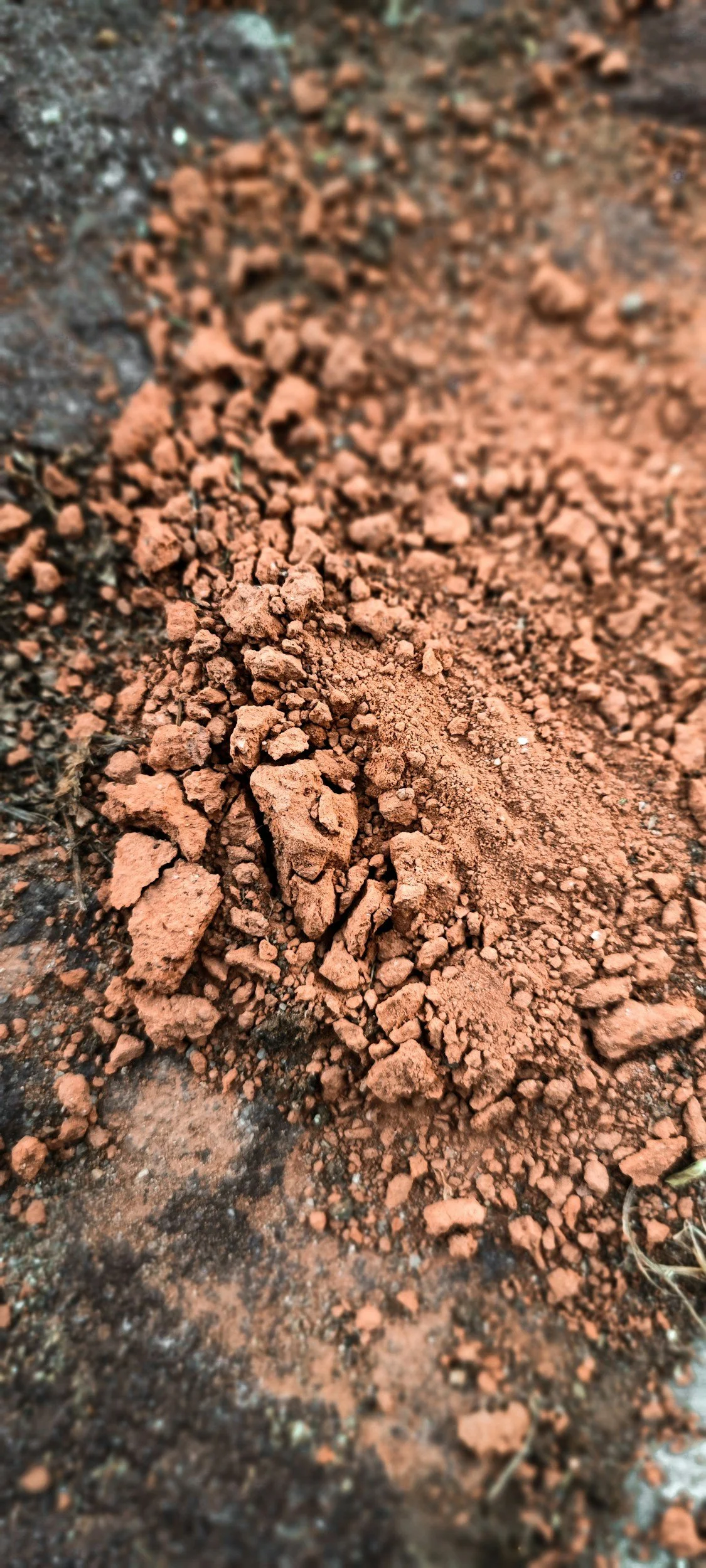 Hire Equipment Machine Western Australia South West WA - Close-up of reddish-brown soil and small rocks.