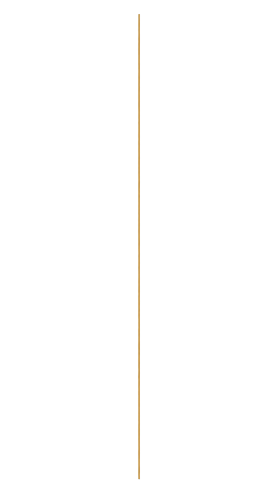 A black hockey stick with a wooden handle and a black blade, standing vertically against a plain white background.