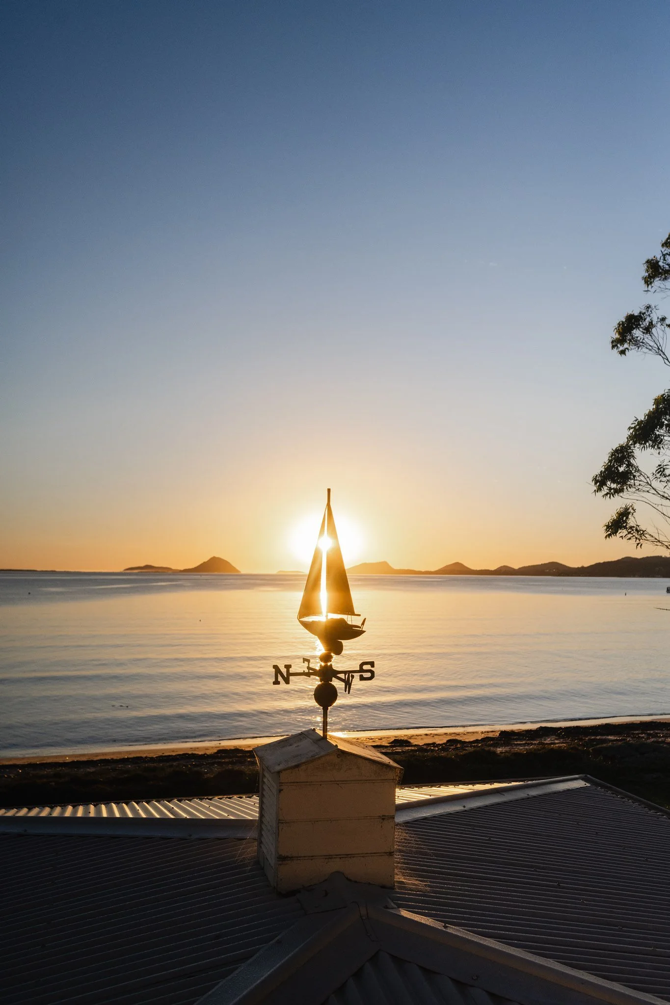 HannahPuechmarin_55PortStephens–March__DSC_9879.jpg
