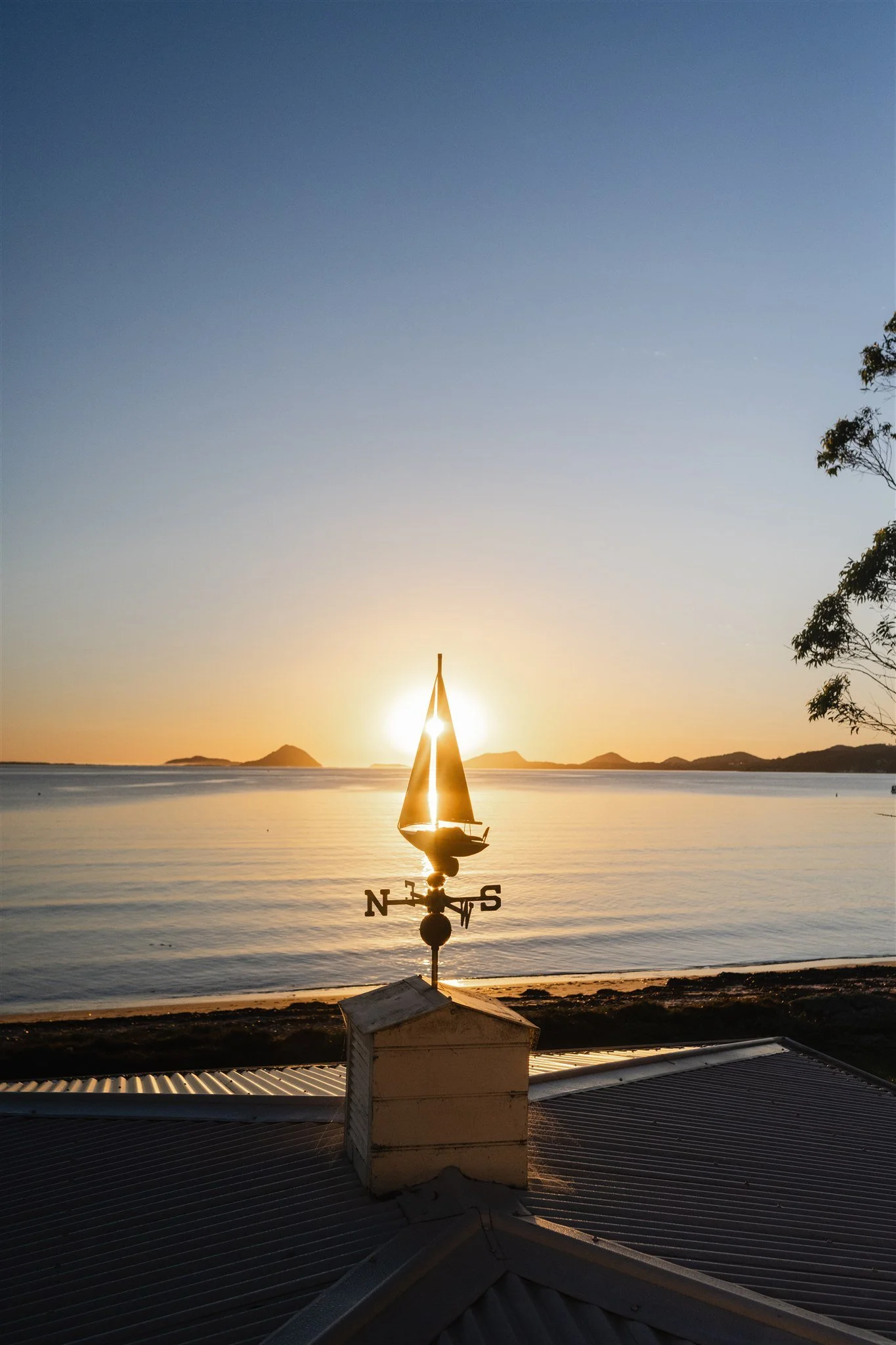 HannahPuechmarin_55PortStephens–March__DSC_9879.jpeg