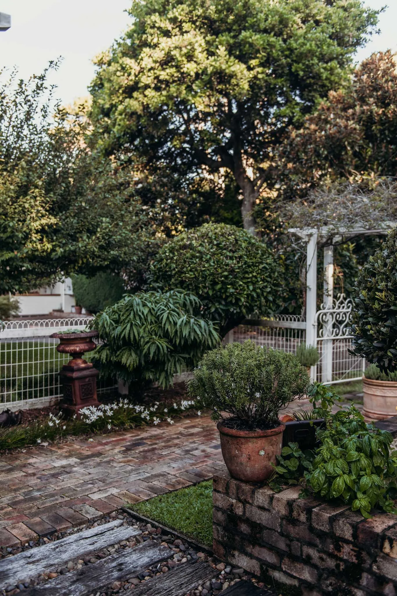 DSC_8072.jpg