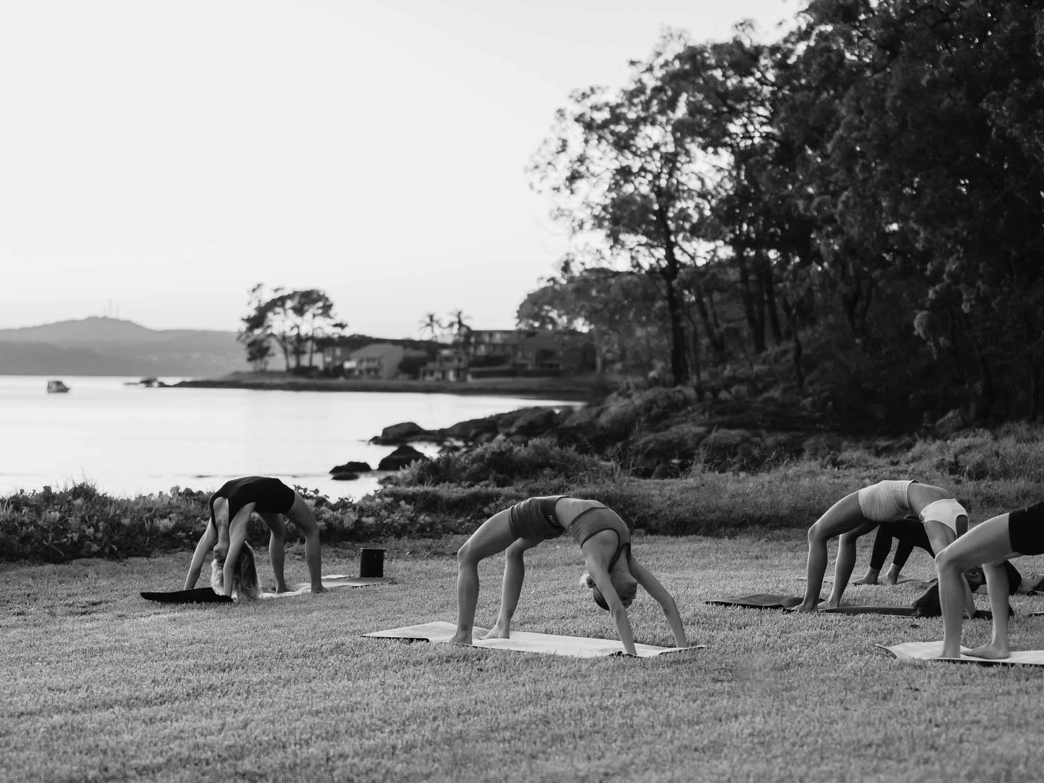 People practicing yoga outdoors on mats along a grassy shoreline with trees and water in the background.