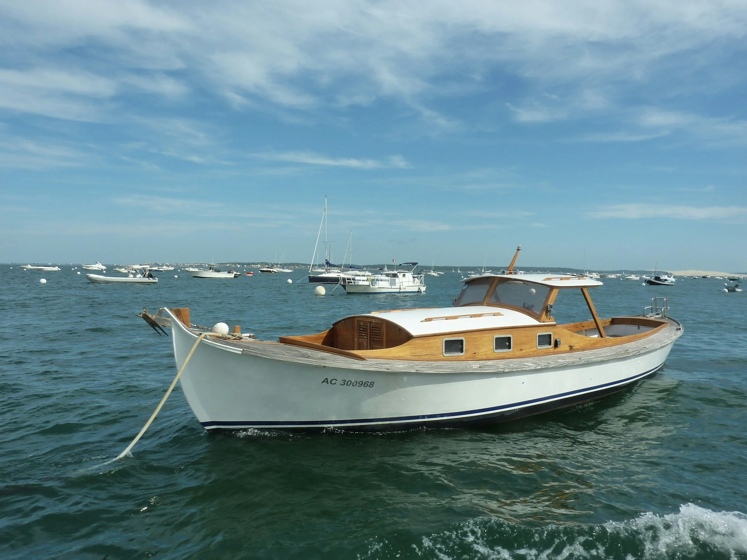 Timber Launches: