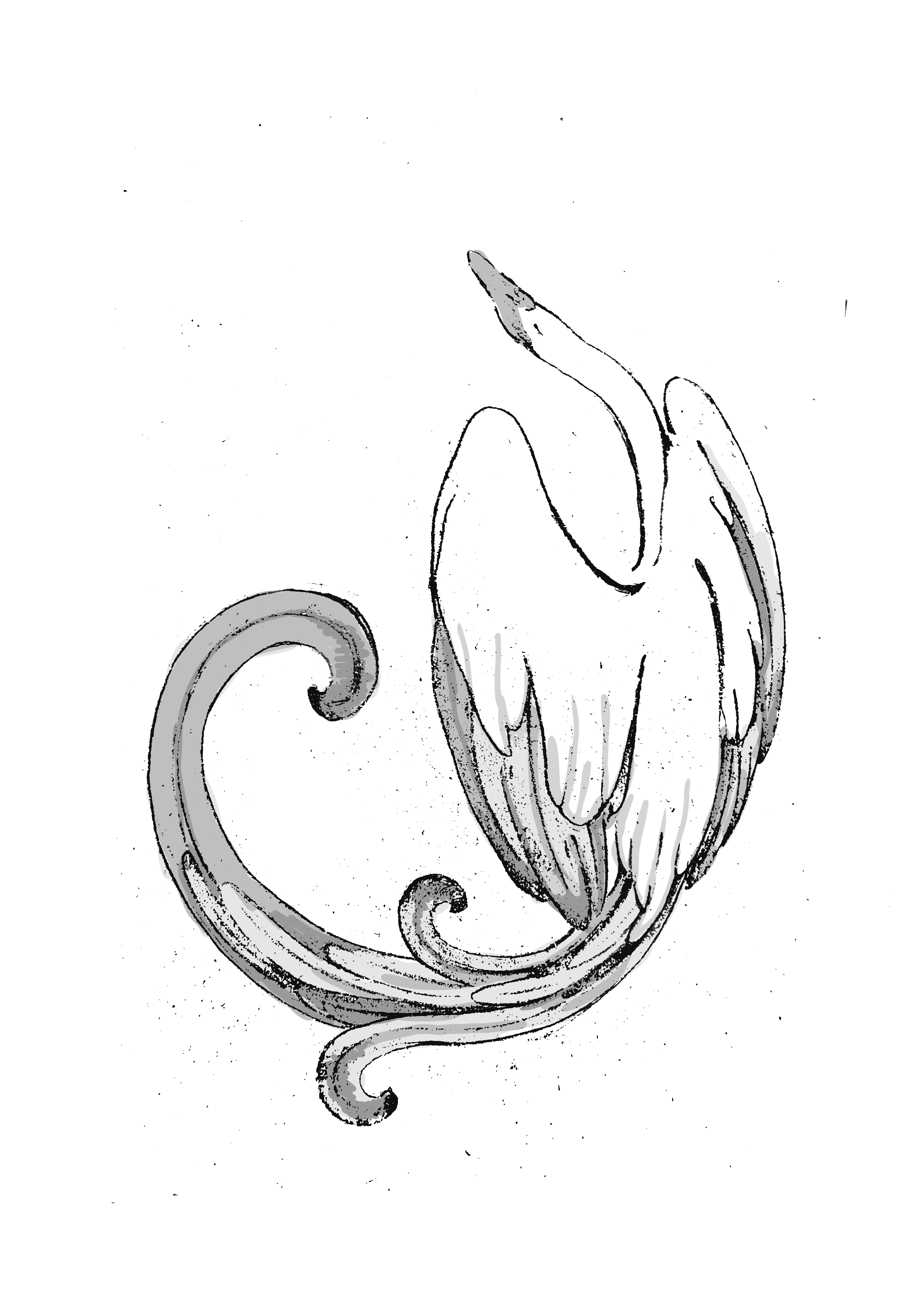Black and white drawing of a flower with a curved stem and large, pointed petals.