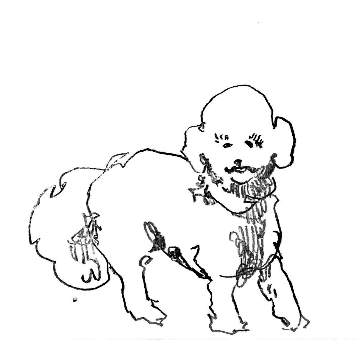 Line drawing of a smiling baby with a beard, crouching down with hands on the ground, facing the camera.