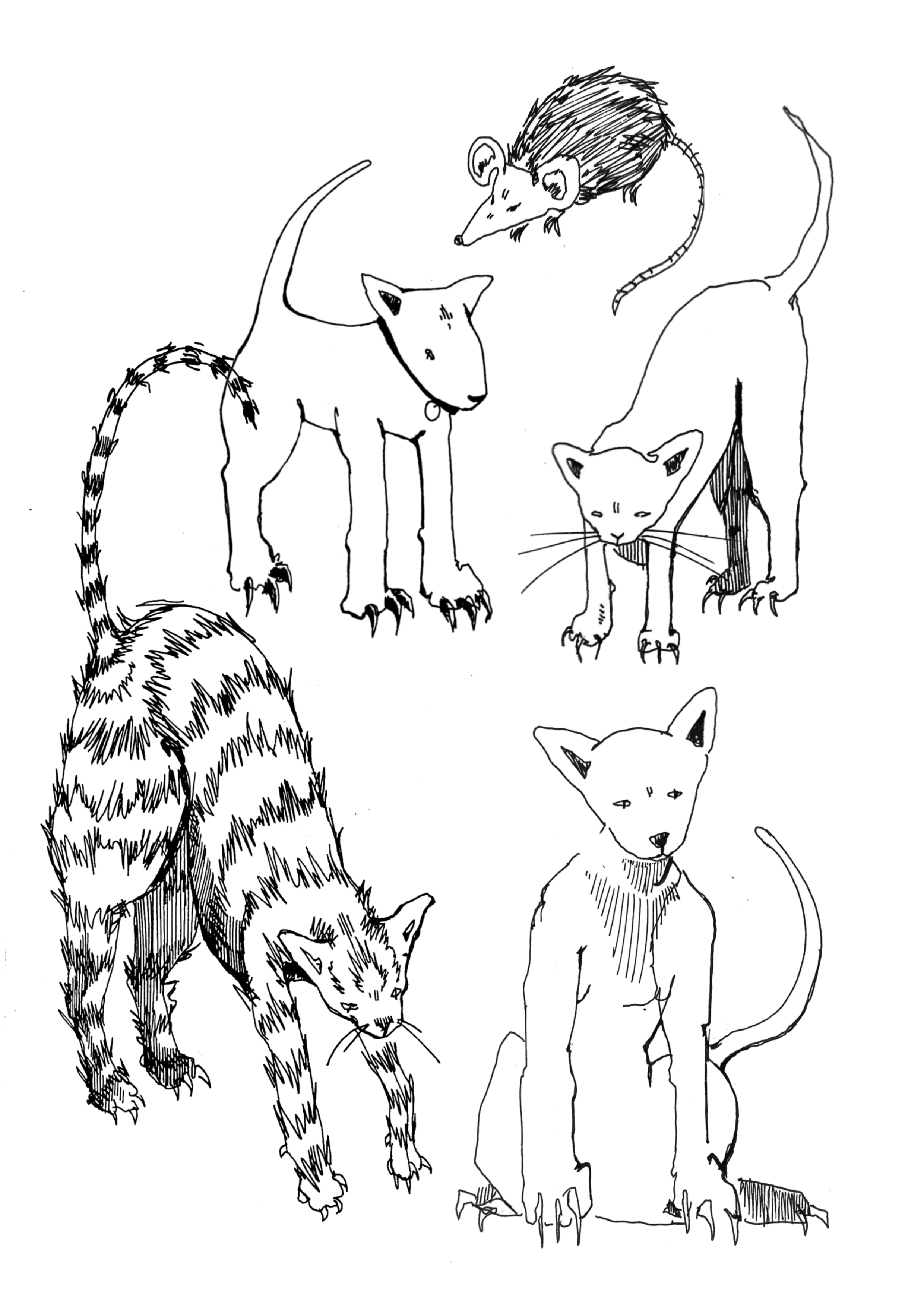Black and white sketch of several animals, including a hyena, a cat, a fox, and a mouse, with minimal background details.