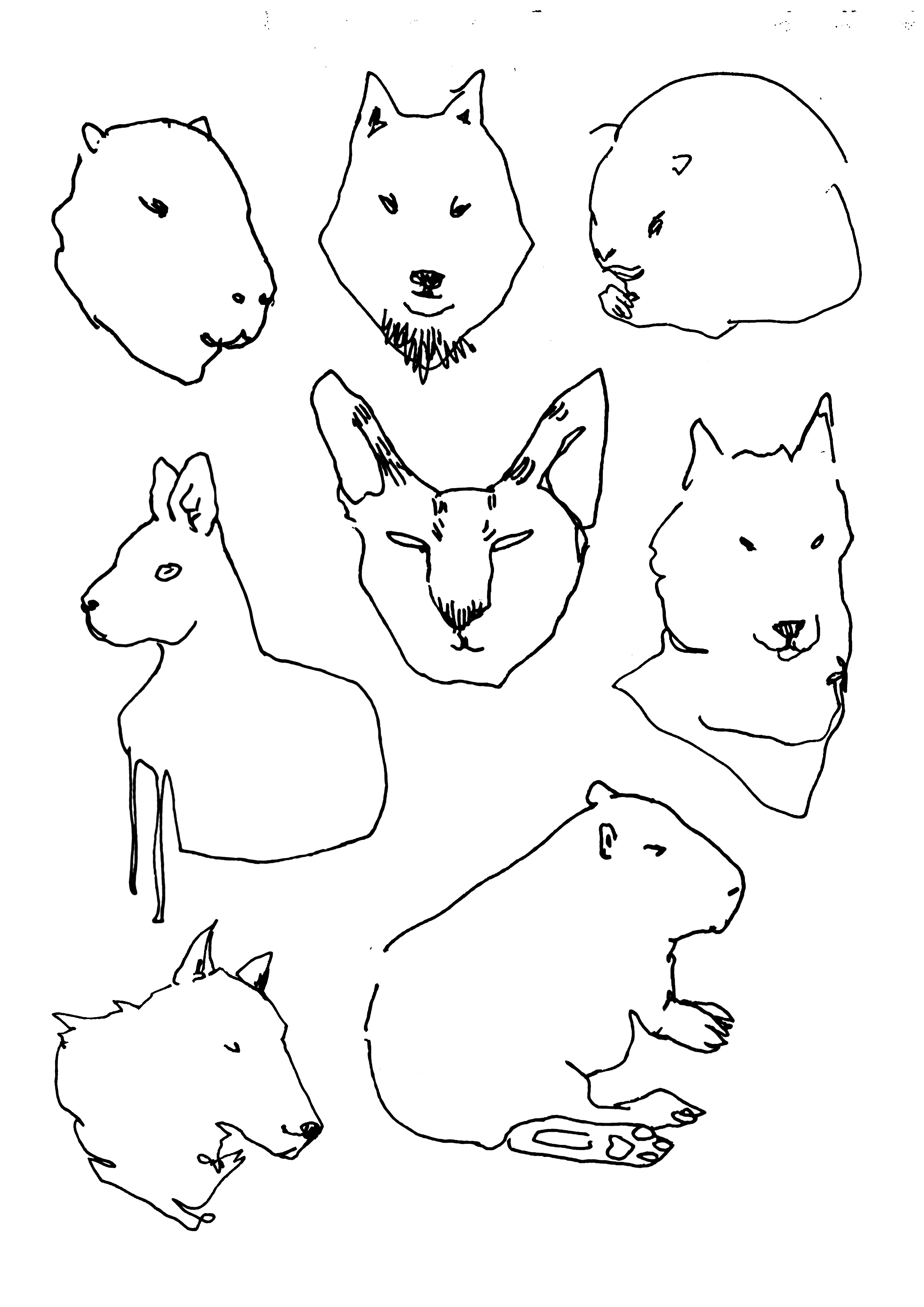 Line drawing of various dogs in different breeds and poses, some sitting, lying, and standing.
