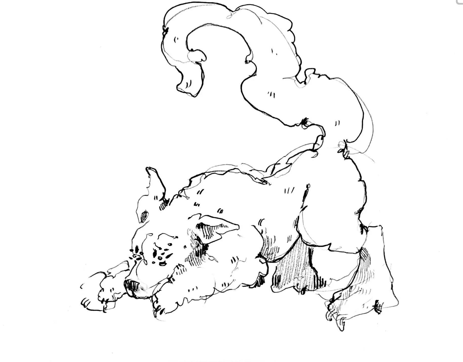 A black and white line drawing of a dog and a cat, with the dog lying on the ground and the cat sitting on its head.